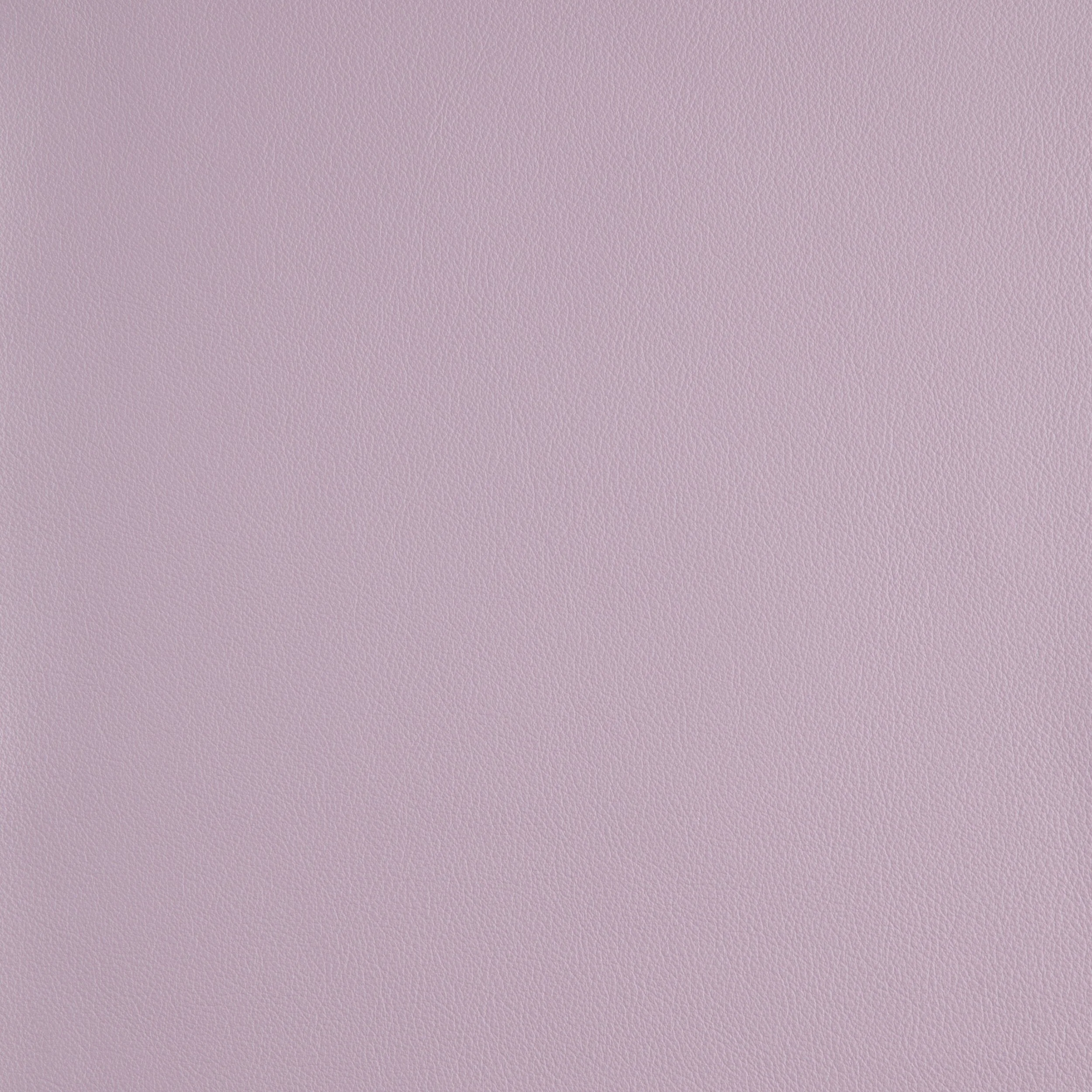 Kaleidoscope Linea Whole Hide - Neutrals - Image 28