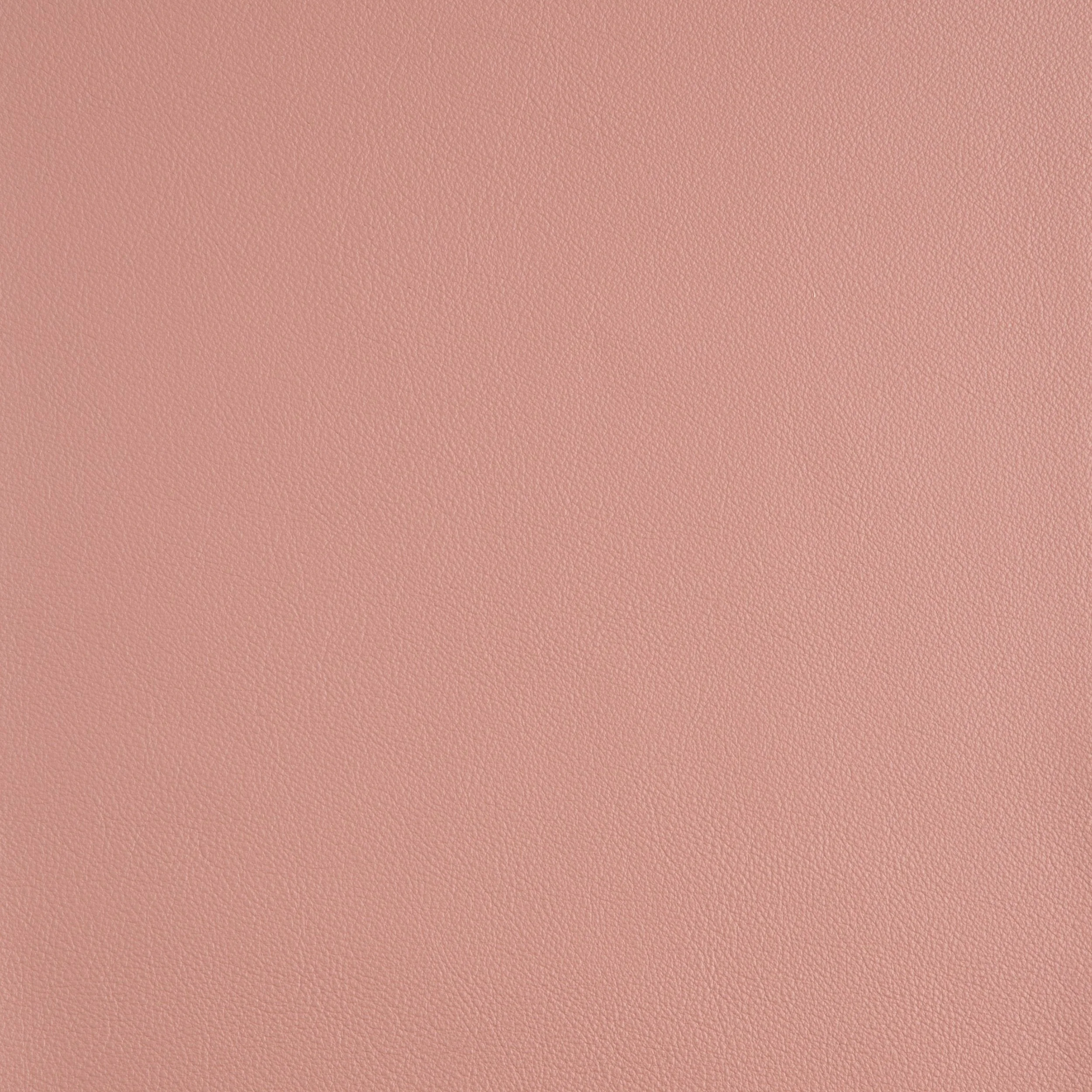 Kaleidoscope Linea Whole Hide - Neutrals - Image 29