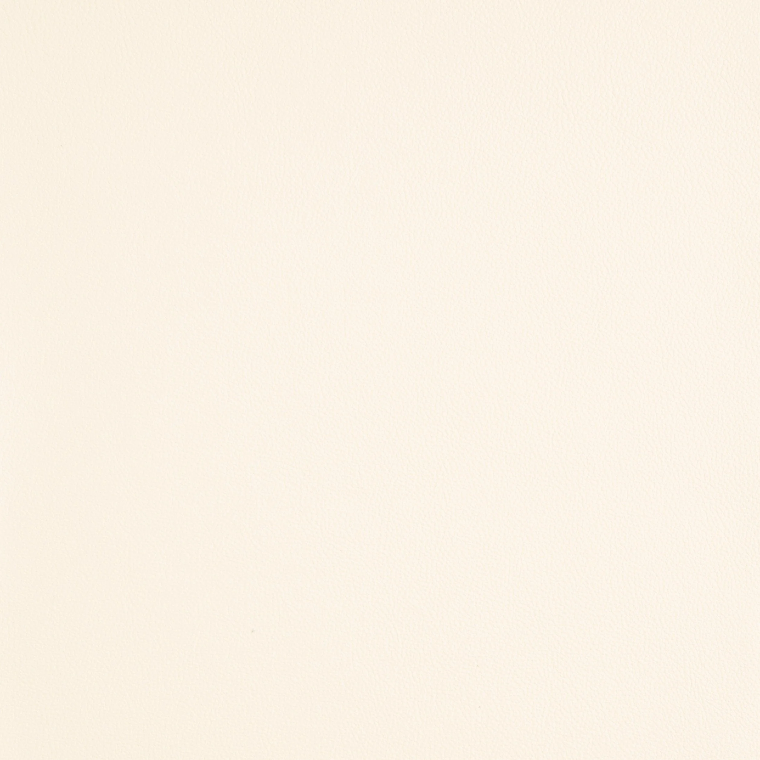 Kaleidoscope Linea Whole Hide - Neutrals - Image 3