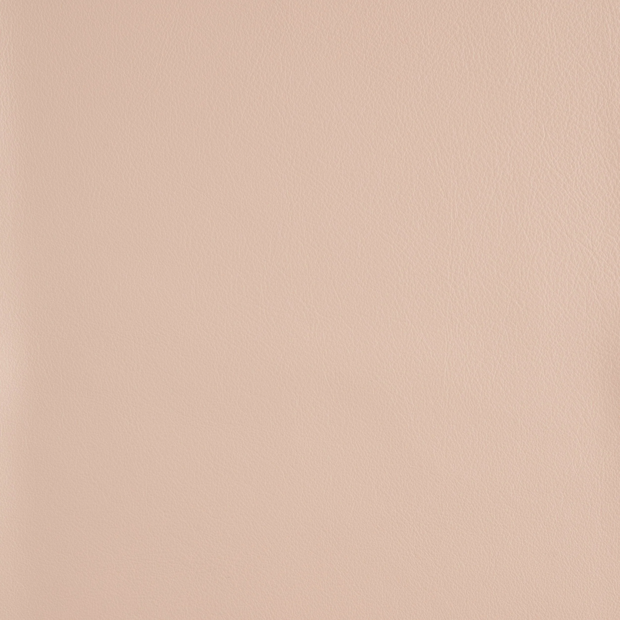 Kaleidoscope Linea Whole Hide - Neutrals - Image 33