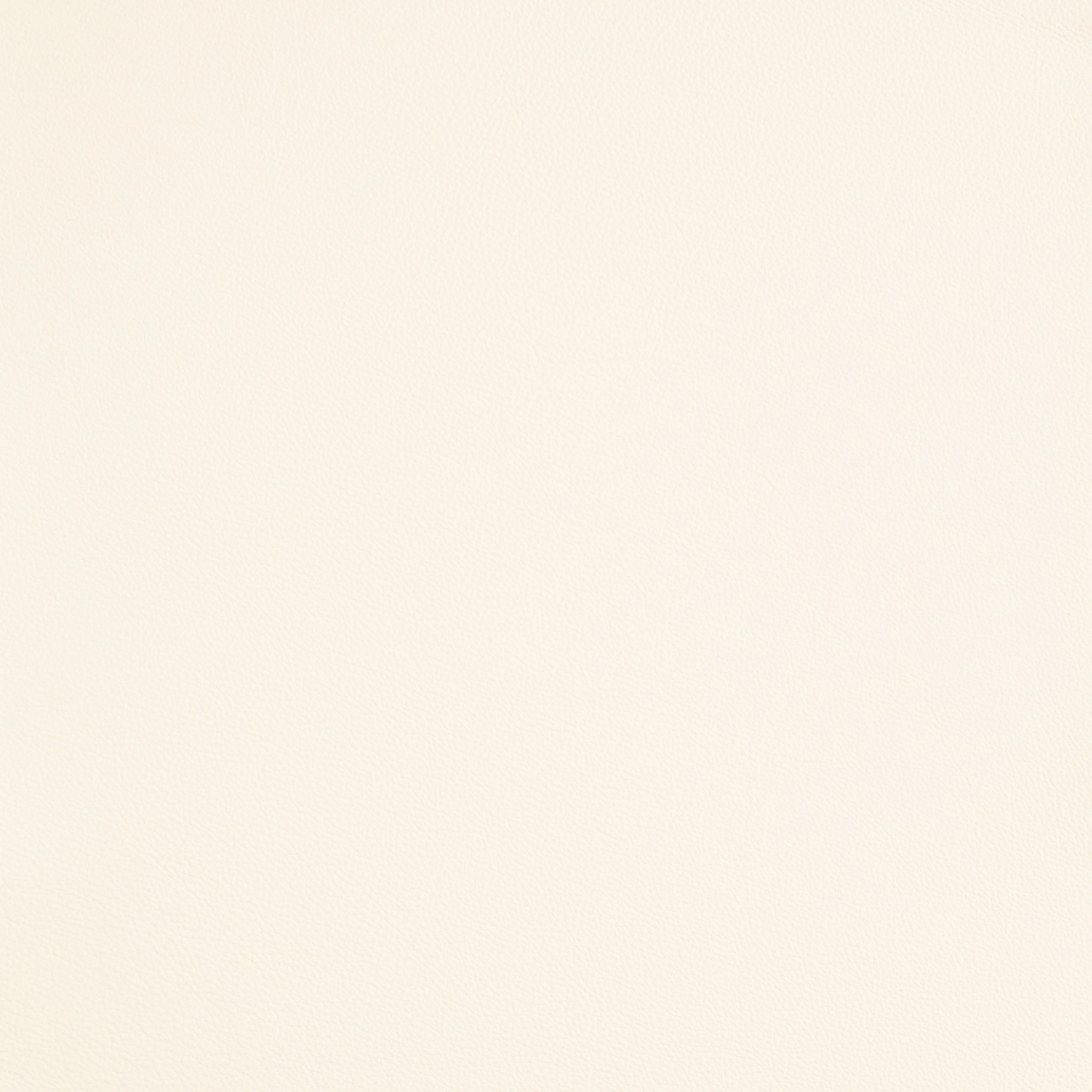 Kaleidoscope Linea Whole Hide - Neutrals - Image 4