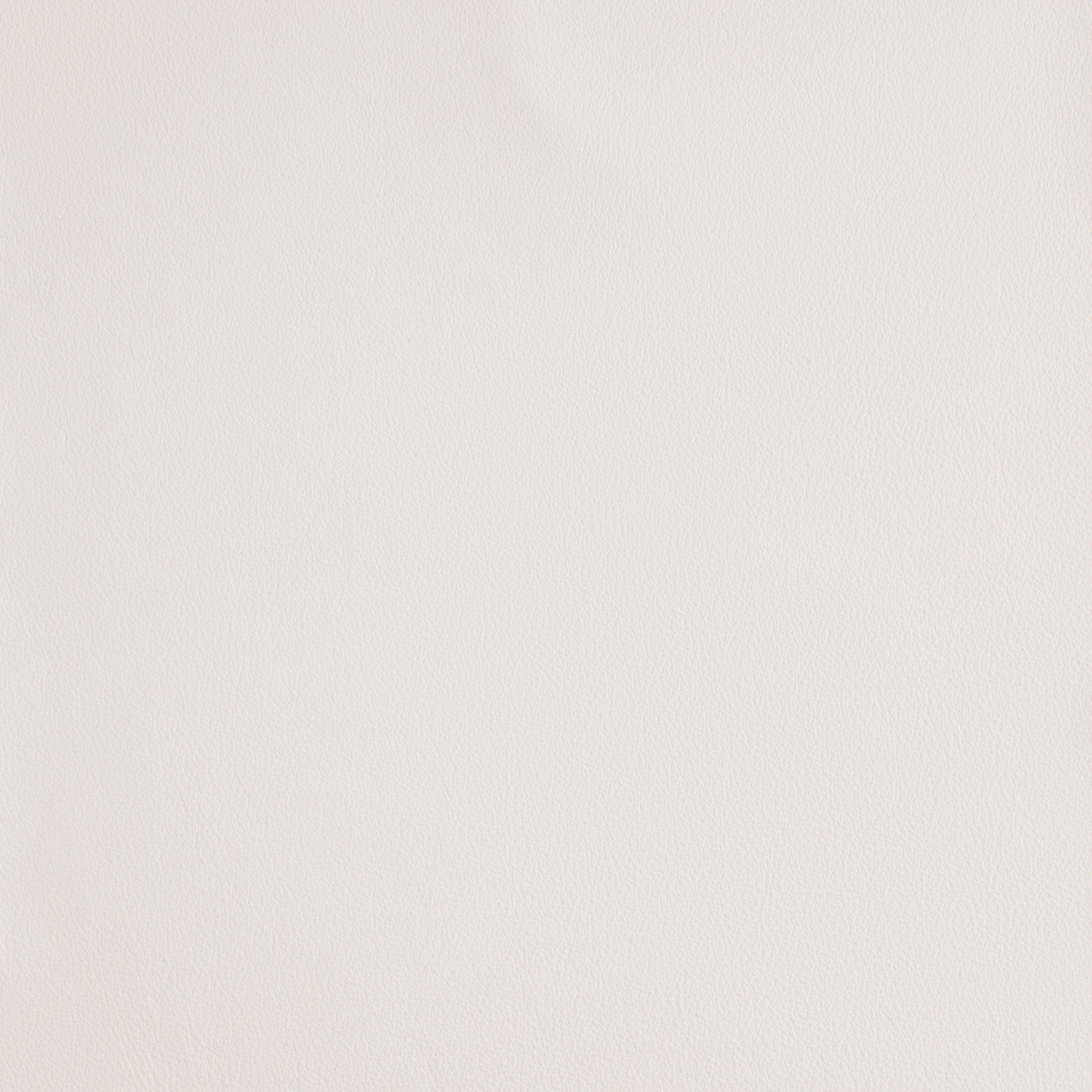 Kaleidoscope Linea Whole Hide - Neutrals - Image 40