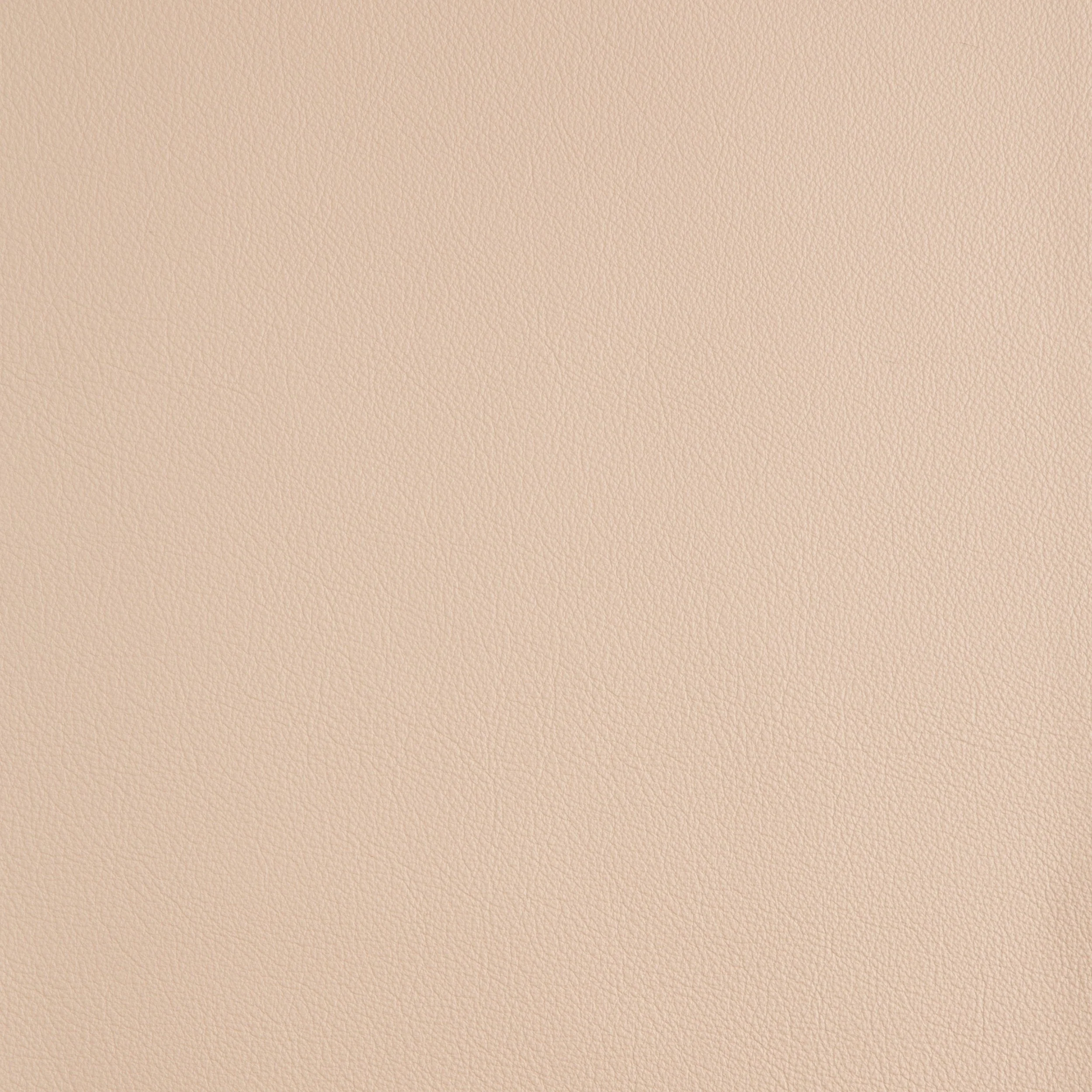 Kaleidoscope Linea Whole Hide - Neutrals - Image 48