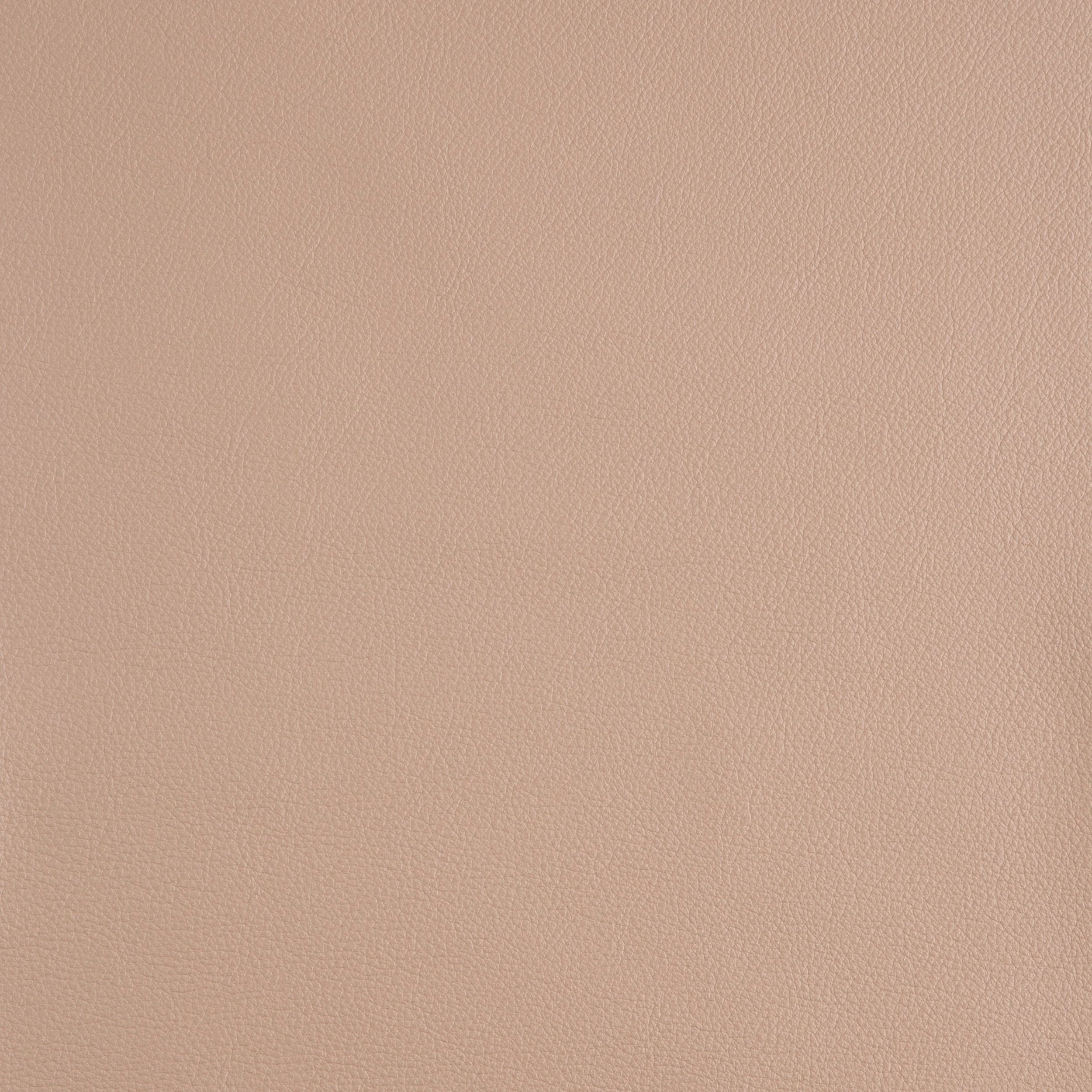 Kaleidoscope Linea Whole Hide - Neutrals - Image 49