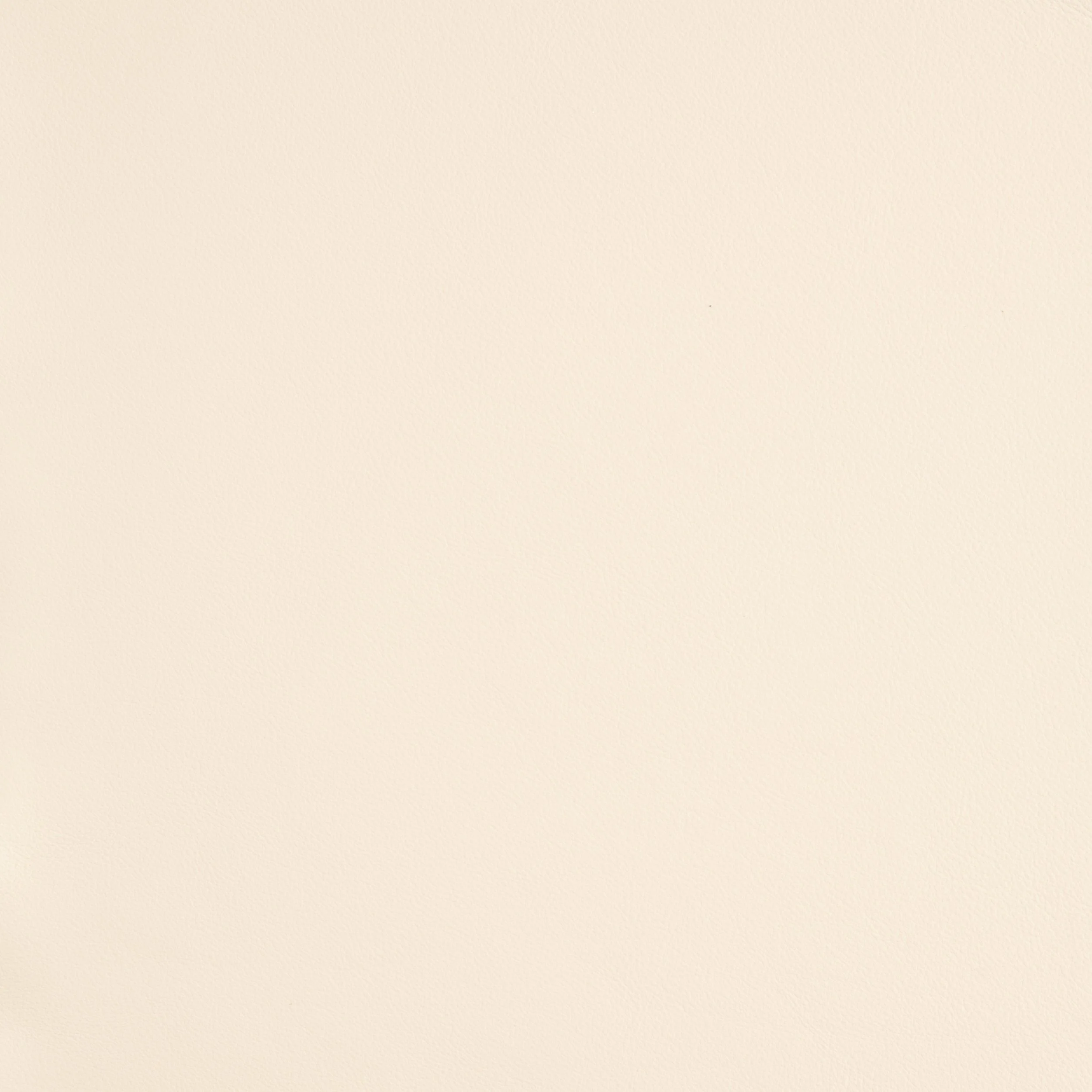 Kaleidoscope Linea Whole Hide - Neutrals - Image 5