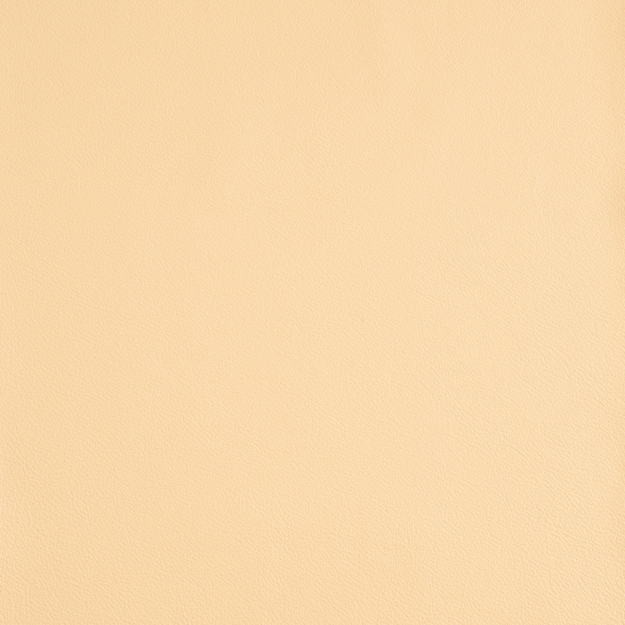 Kaleidoscope Linea Whole Hide - Neutrals - Image 7