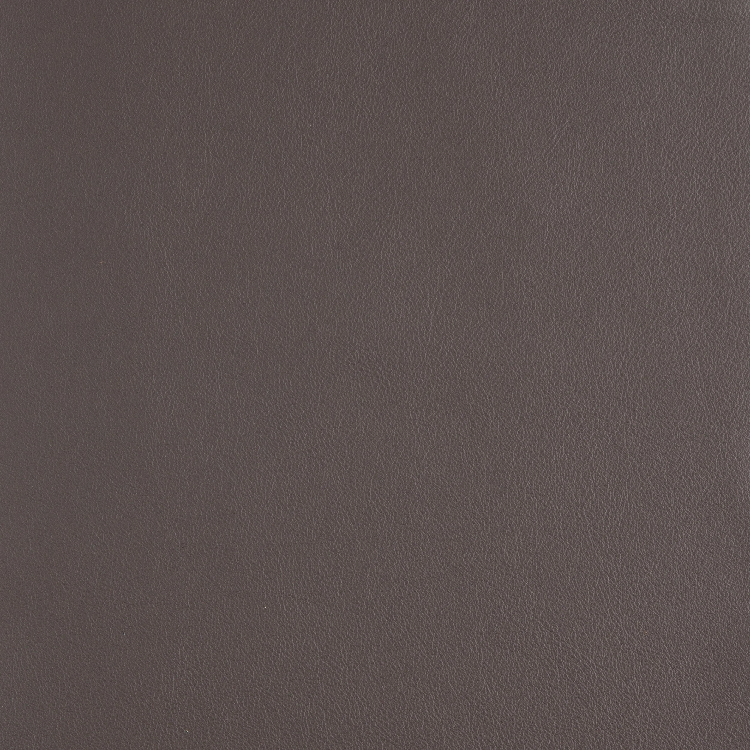 Kaleidoscope Linea Whole Hide - Neutrals - Image 8