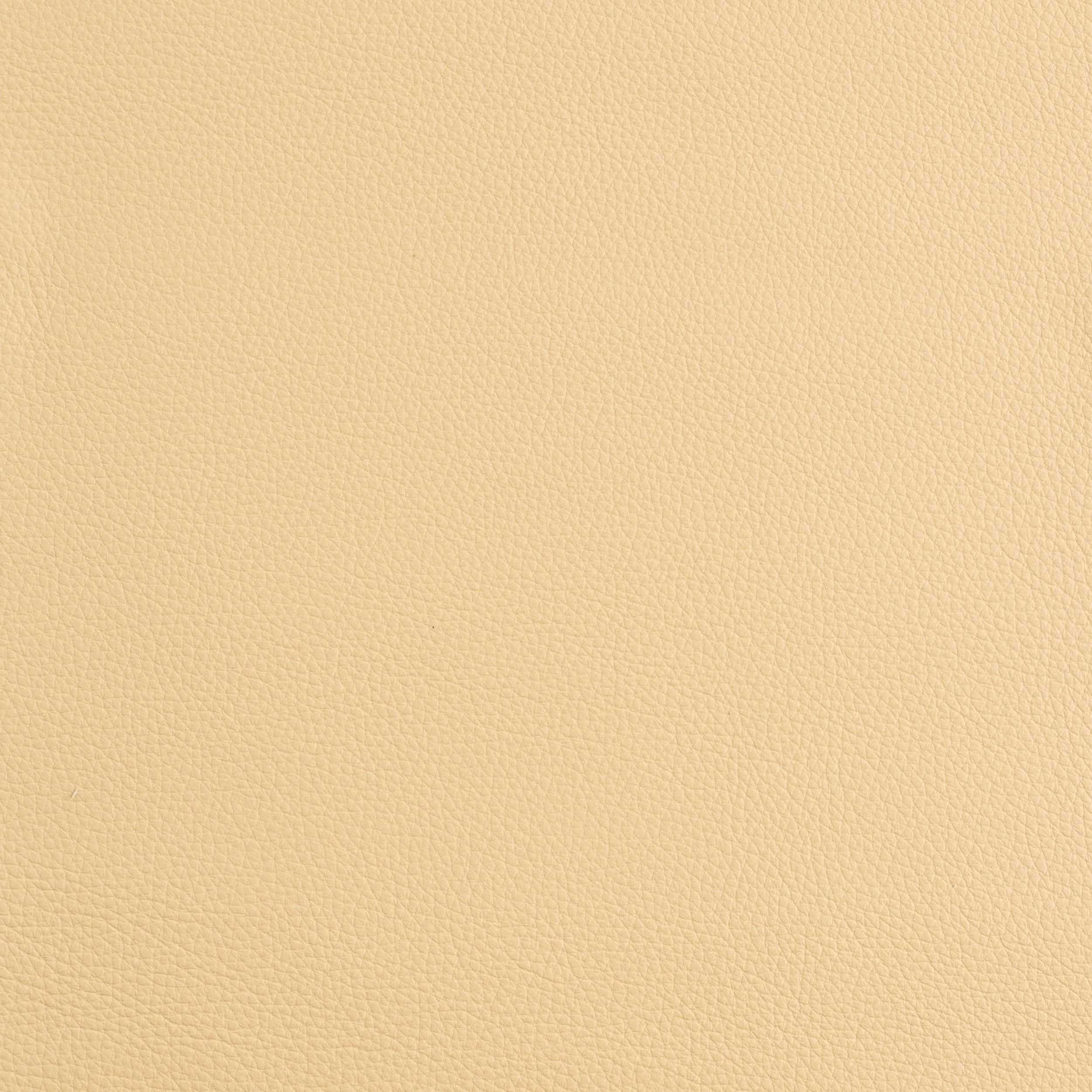 Kaleidoscope Prescott Whole Hide - Warm Tones - Image 10