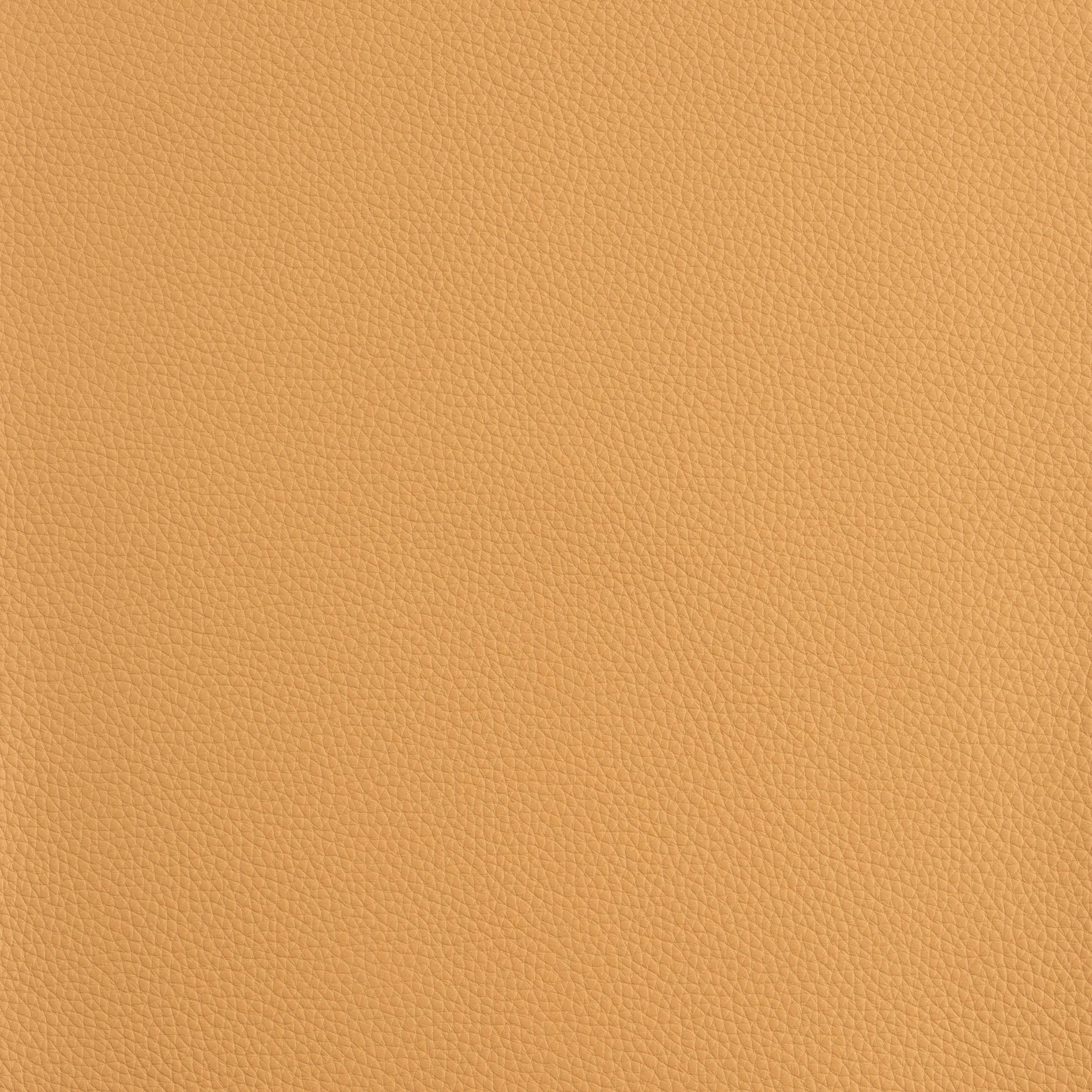 Kaleidoscope Prescott Whole Hide - Warm Tones - Image 12