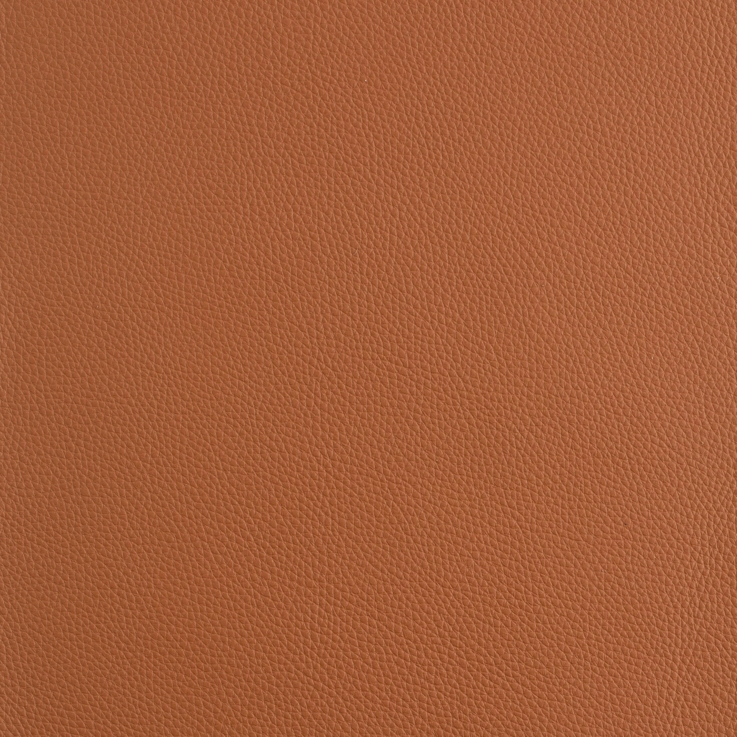 Kaleidoscope Prescott Whole Hide - Warm Tones - Image 13