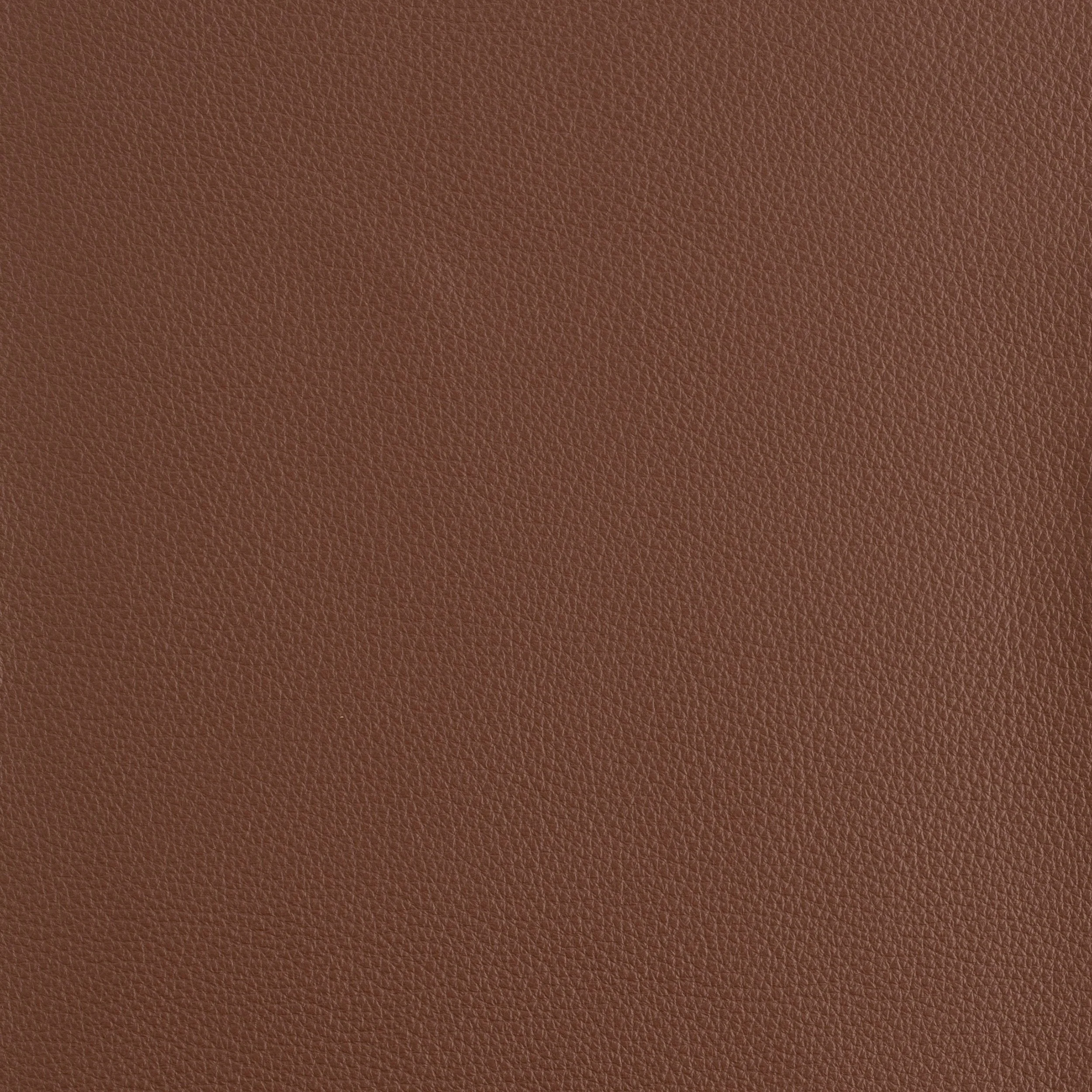 Kaleidoscope Prescott Whole Hide - Warm Tones - Image 14