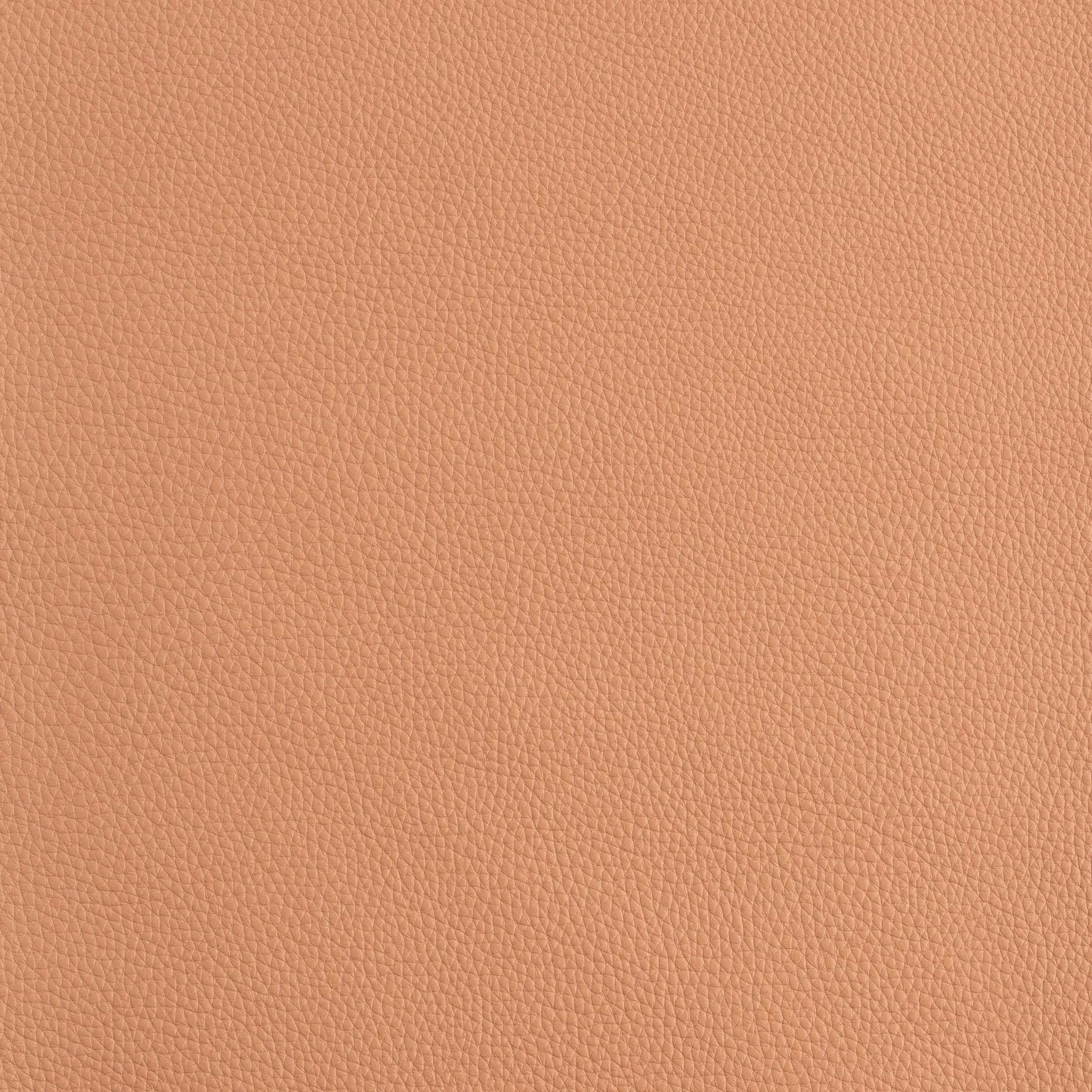Kaleidoscope Prescott Whole Hide - Warm Tones - Image 16