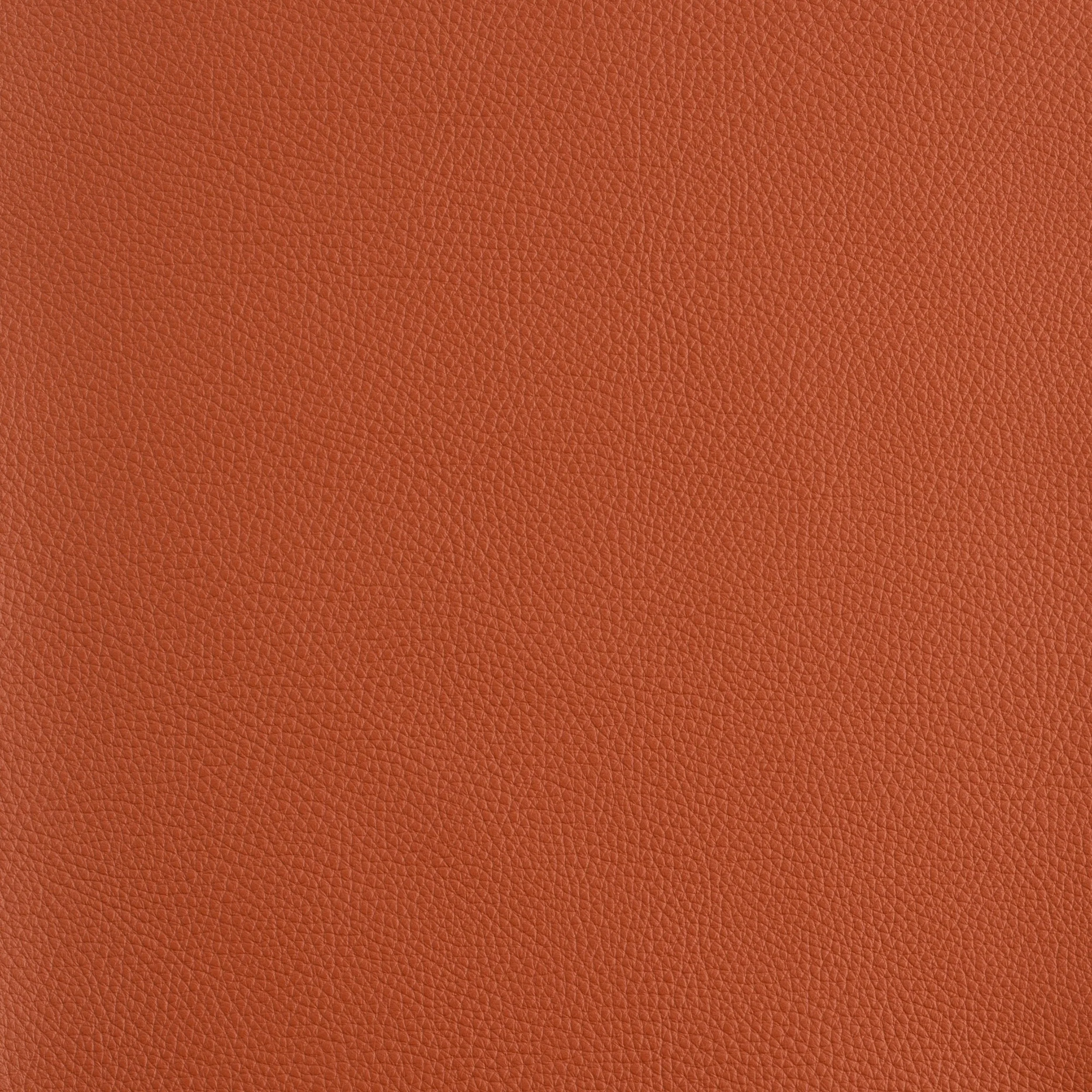 Kaleidoscope Prescott Whole Hide - Warm Tones - Image 17