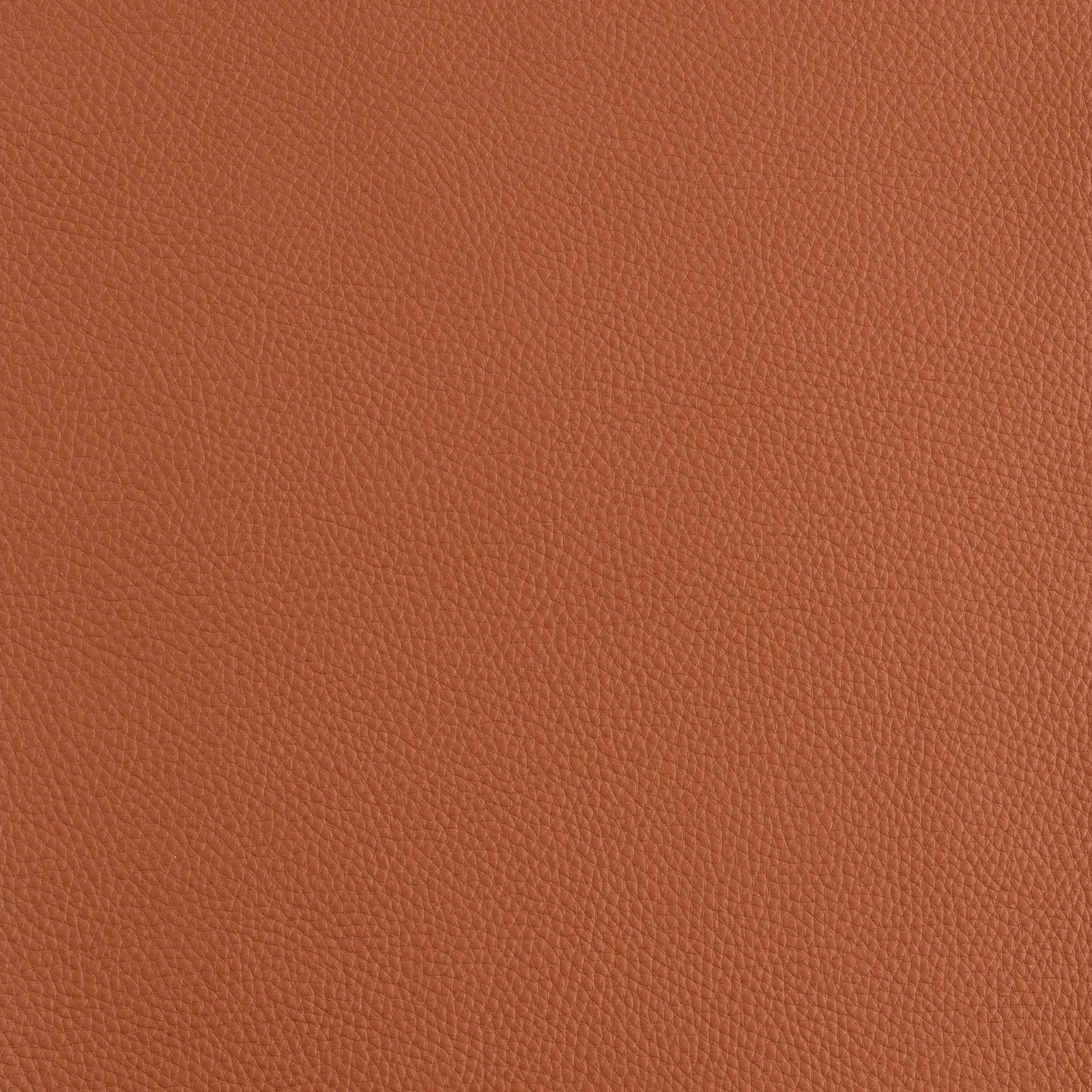 Kaleidoscope Prescott Whole Hide - Warm Tones - Image 18