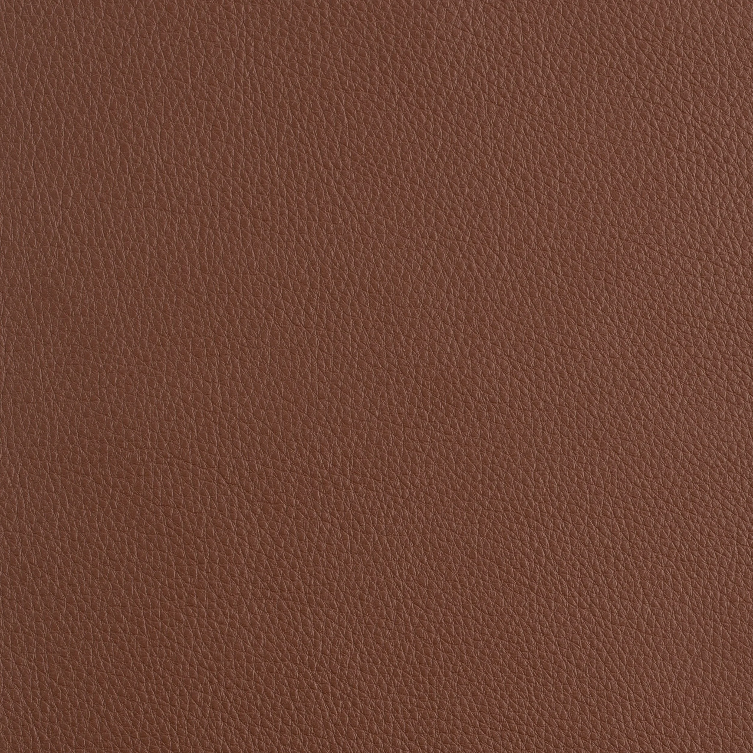 Kaleidoscope Prescott Whole Hide - Warm Tones - Image 19