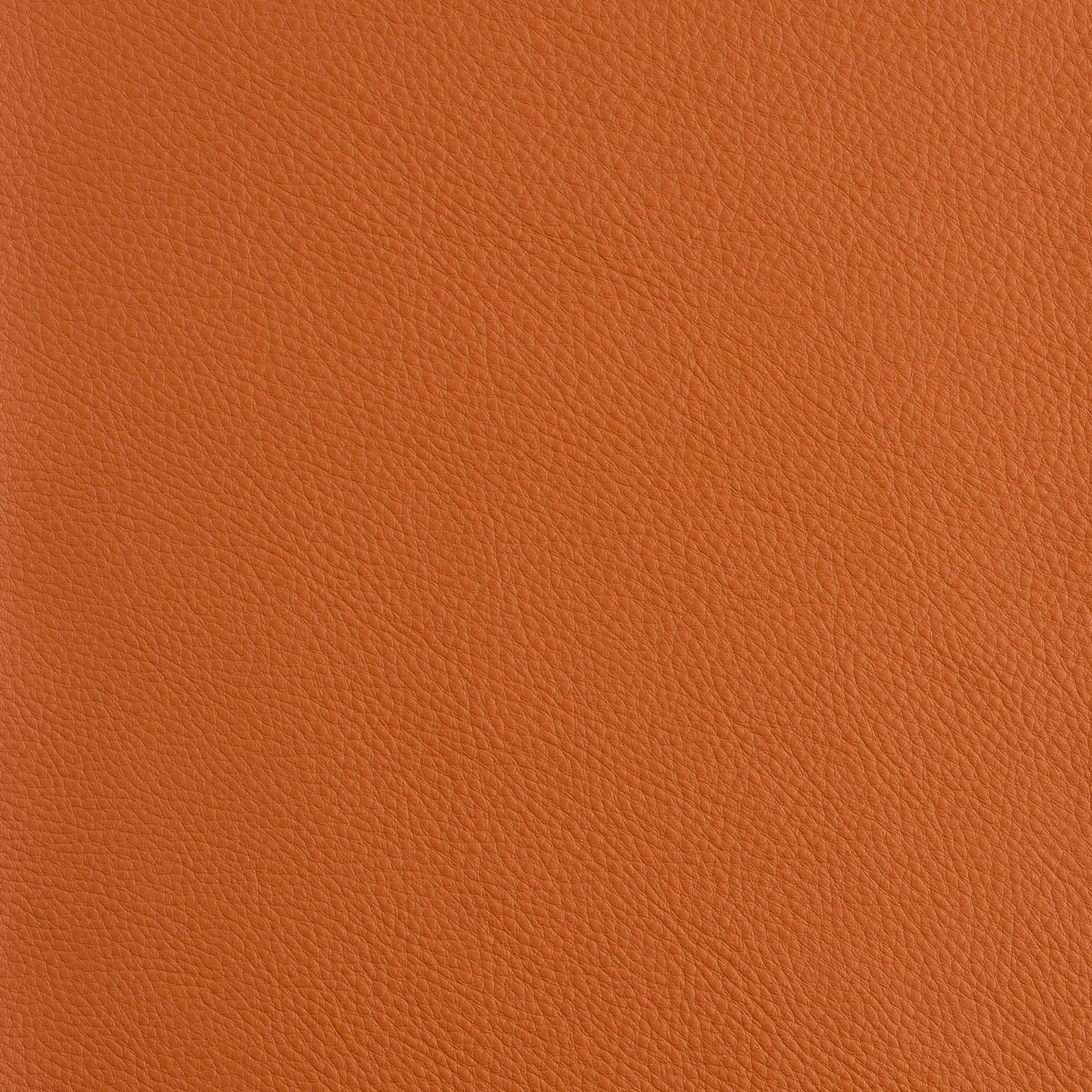 Kaleidoscope Prescott Whole Hide - Warm Tones - Image 40