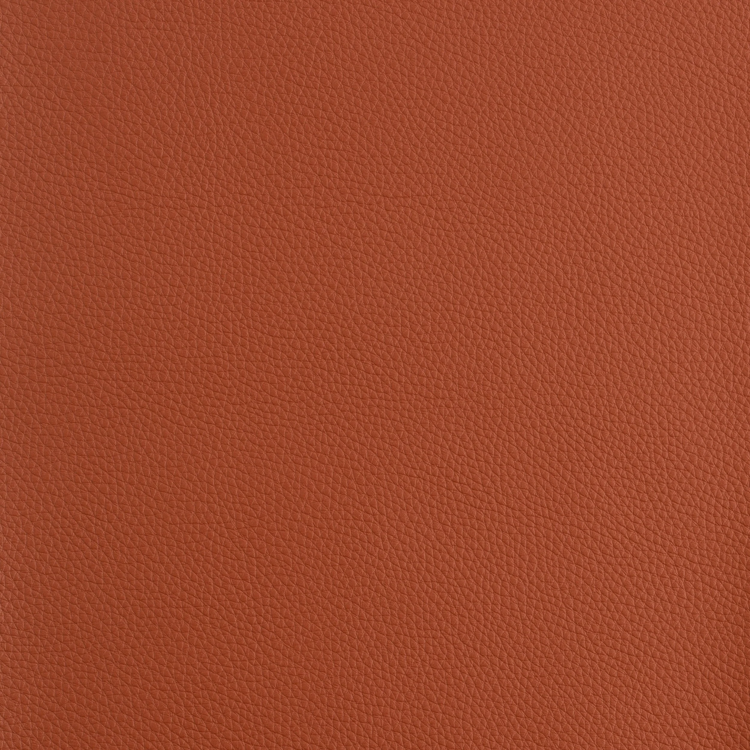 Kaleidoscope Prescott Whole Hide - Warm Tones - Image 51