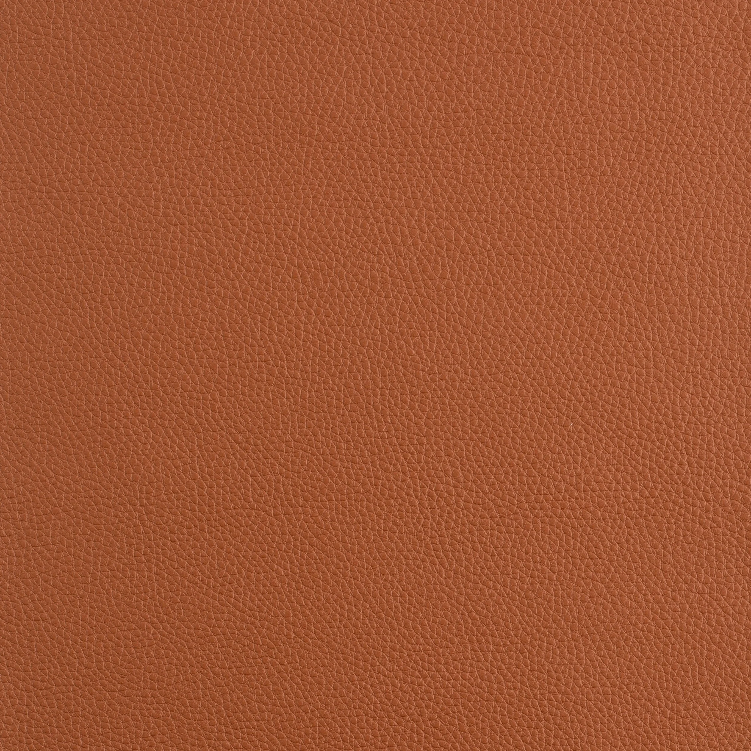 Kaleidoscope Prescott Whole Hide - Warm Tones - Image 52