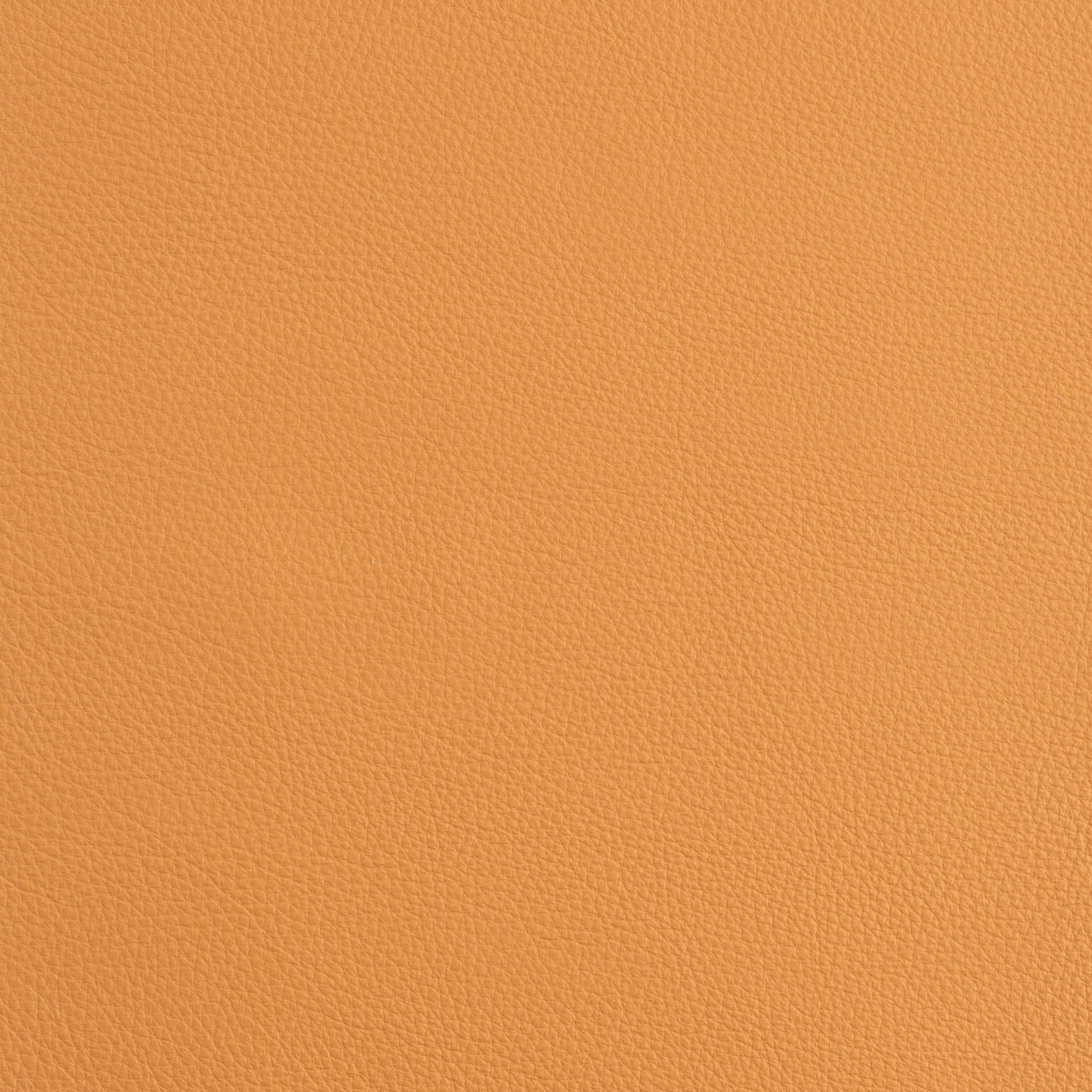Kaleidoscope Prescott Whole Hide - Warm Tones - Image 8