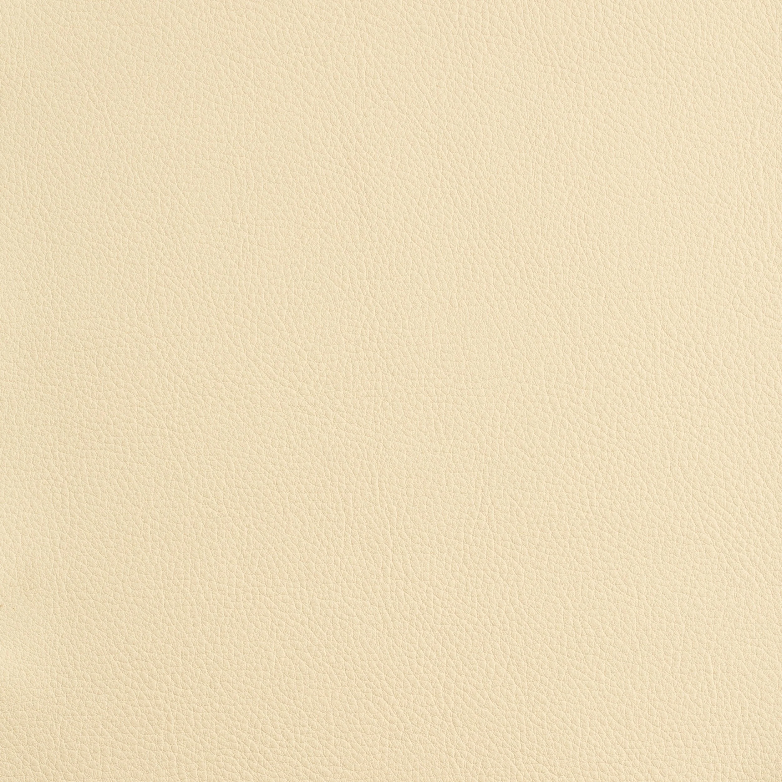 Kaleidoscope Prescott Whole Hide - Warm Tones - Image 9