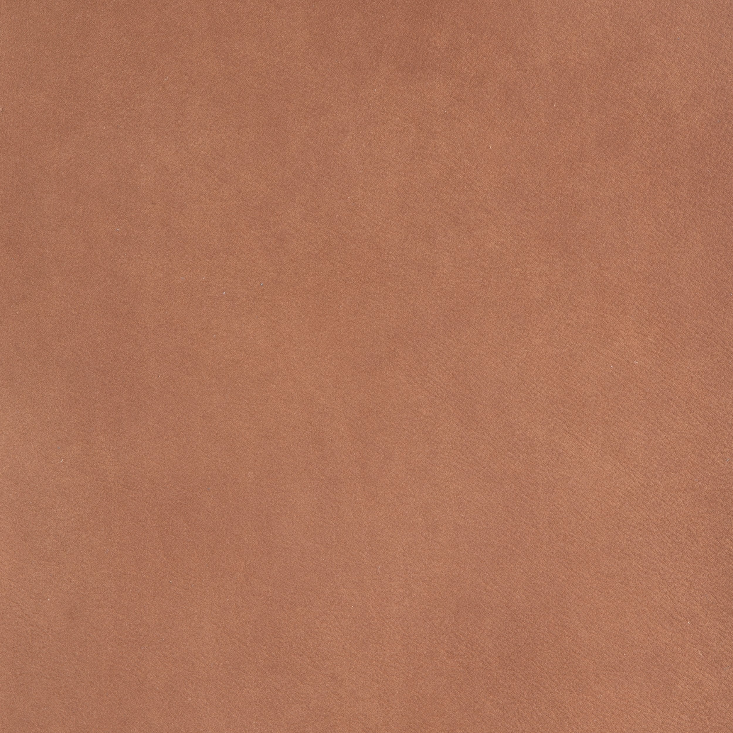 Kaleidoscope Sequoia Whole Hide - Image 17