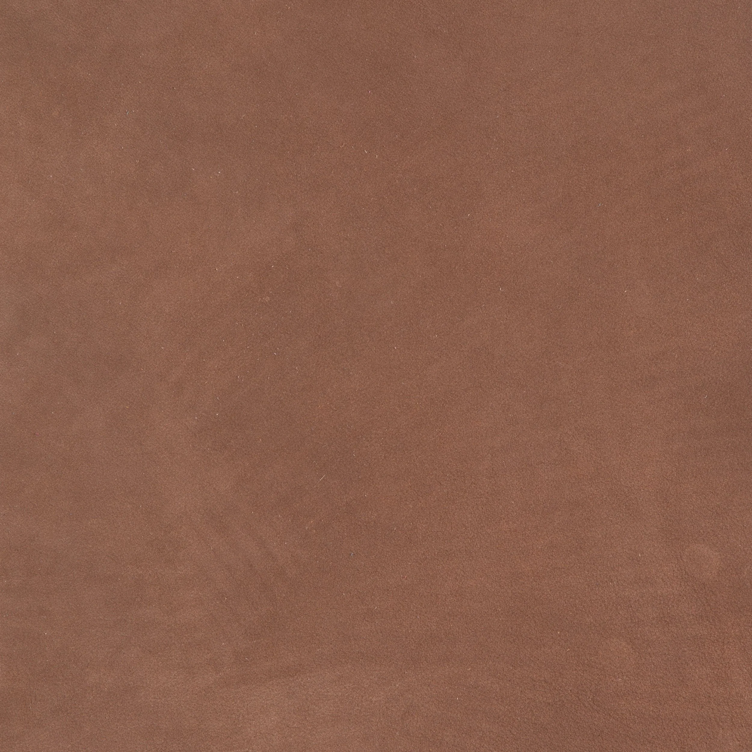 Kaleidoscope Sequoia Whole Hide - Image 26