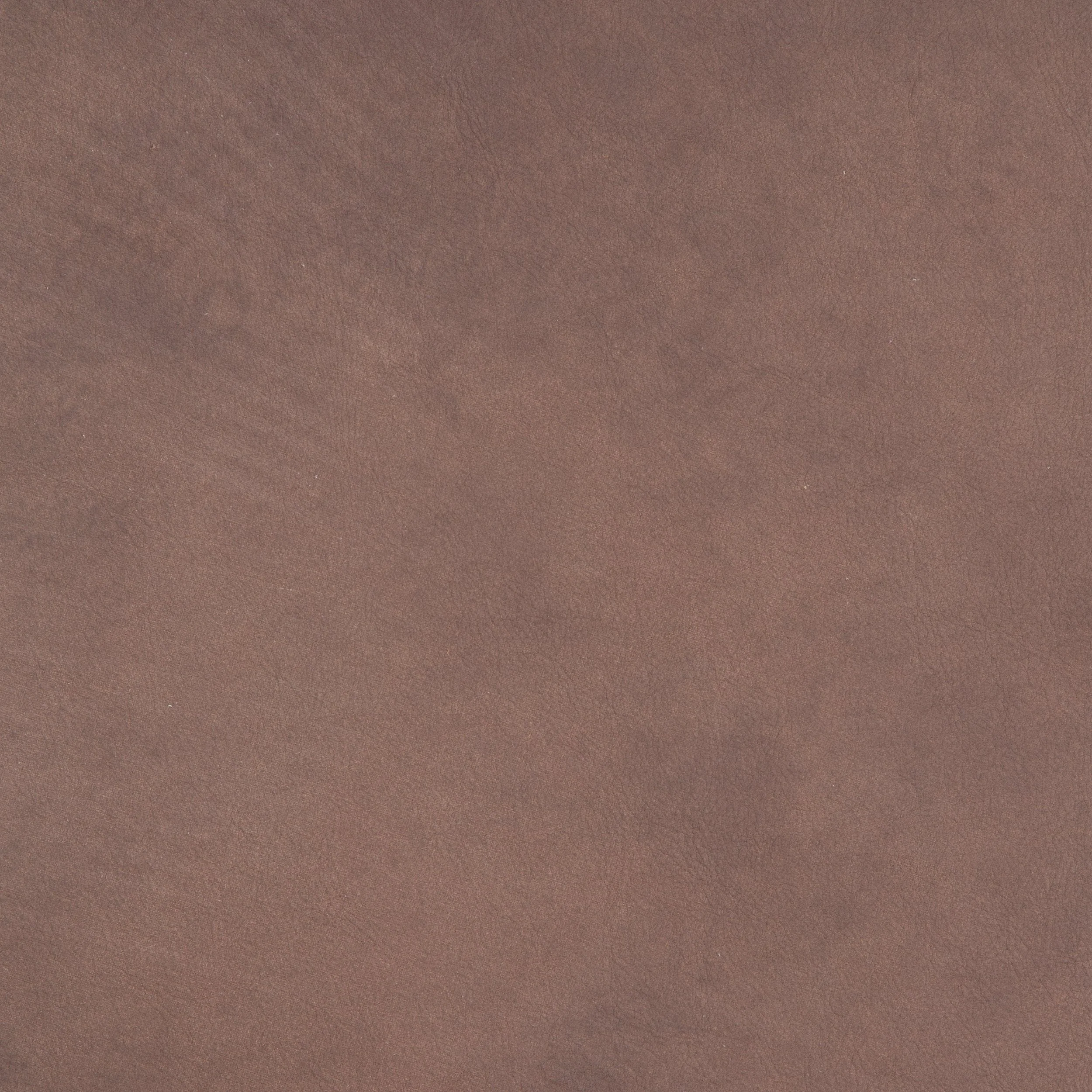 Kaleidoscope Sequoia Whole Hide - Image 3