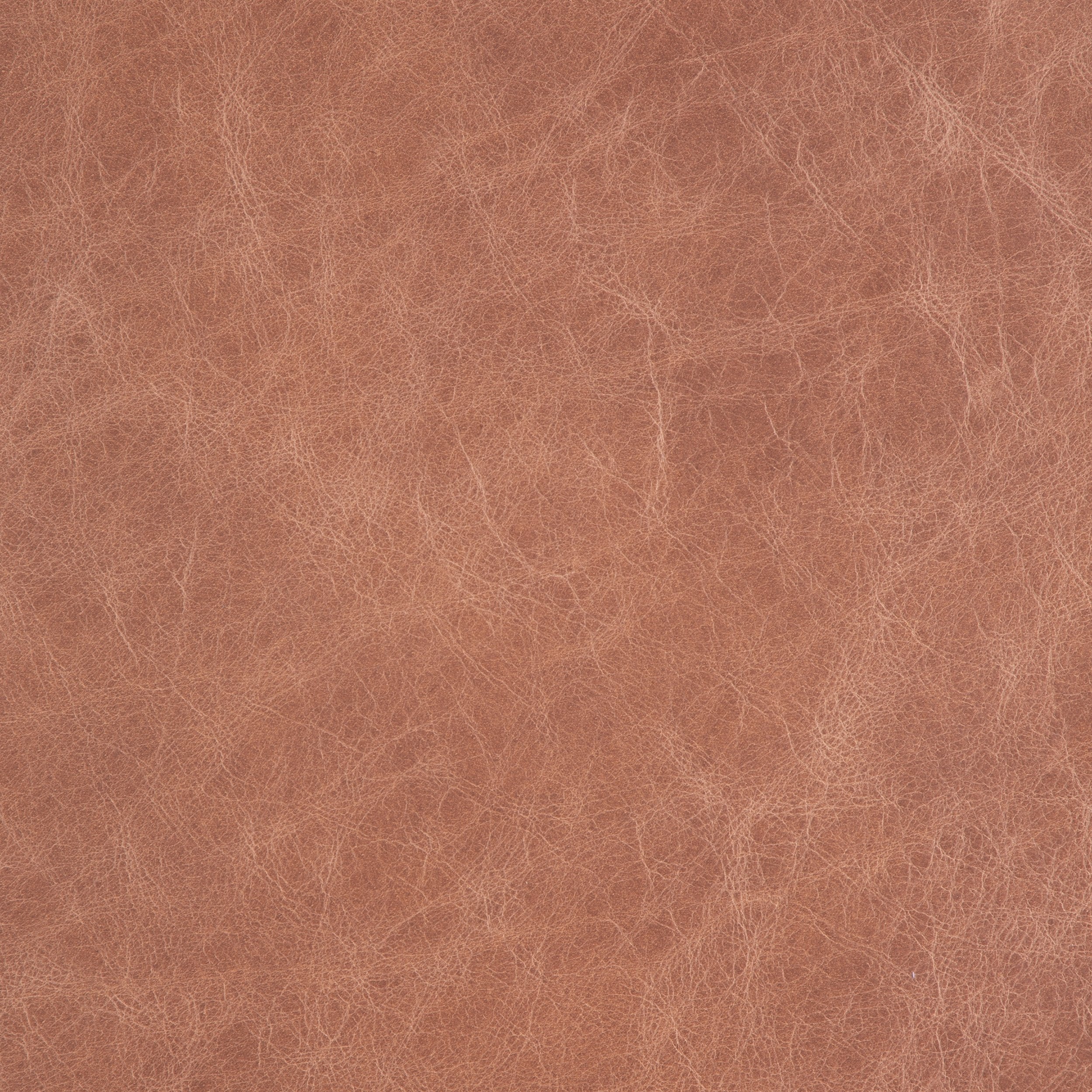 Kaleidoscope Tuscania Whole Hide - Image 7