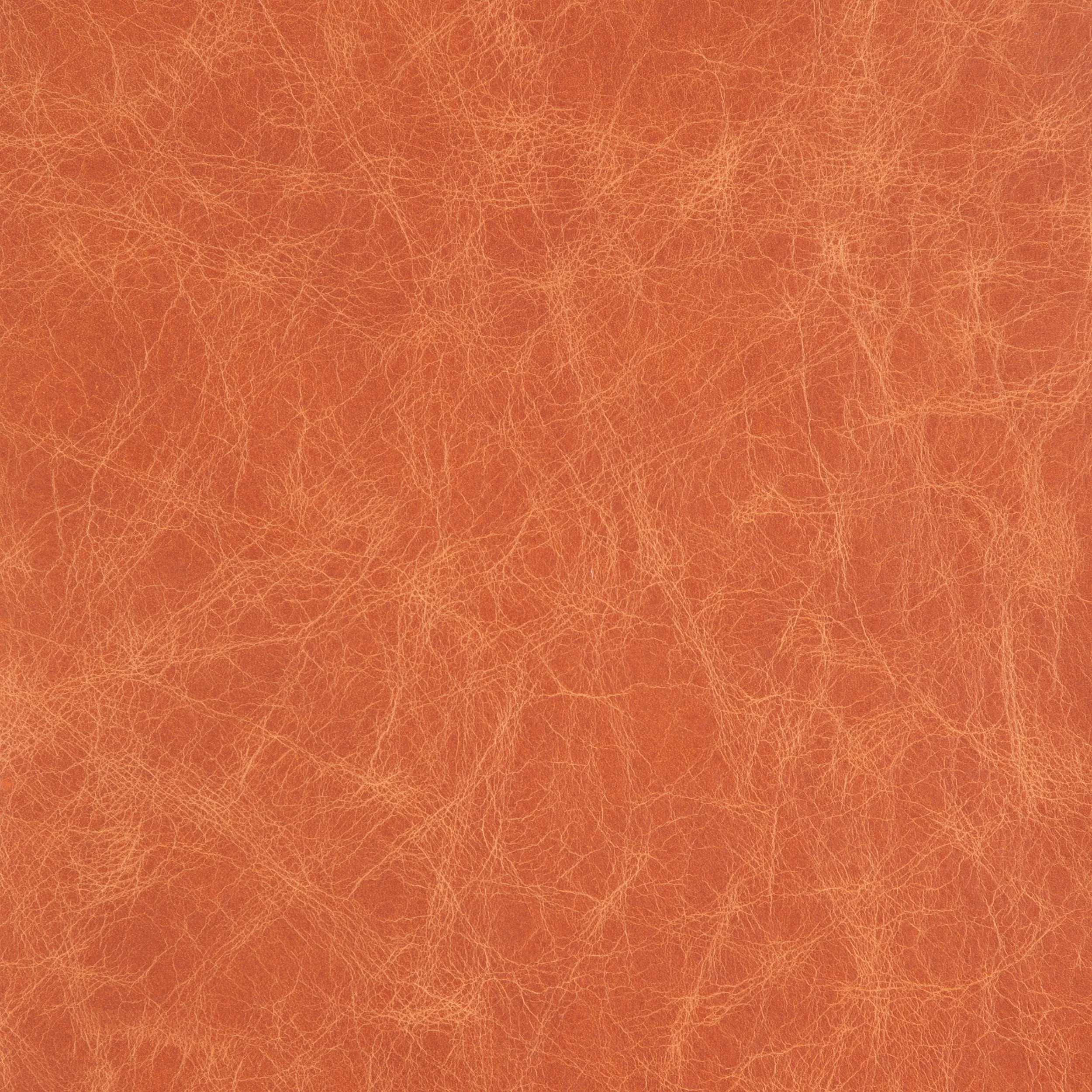 Kaleidoscope Tuscania Whole Hide - Image 9