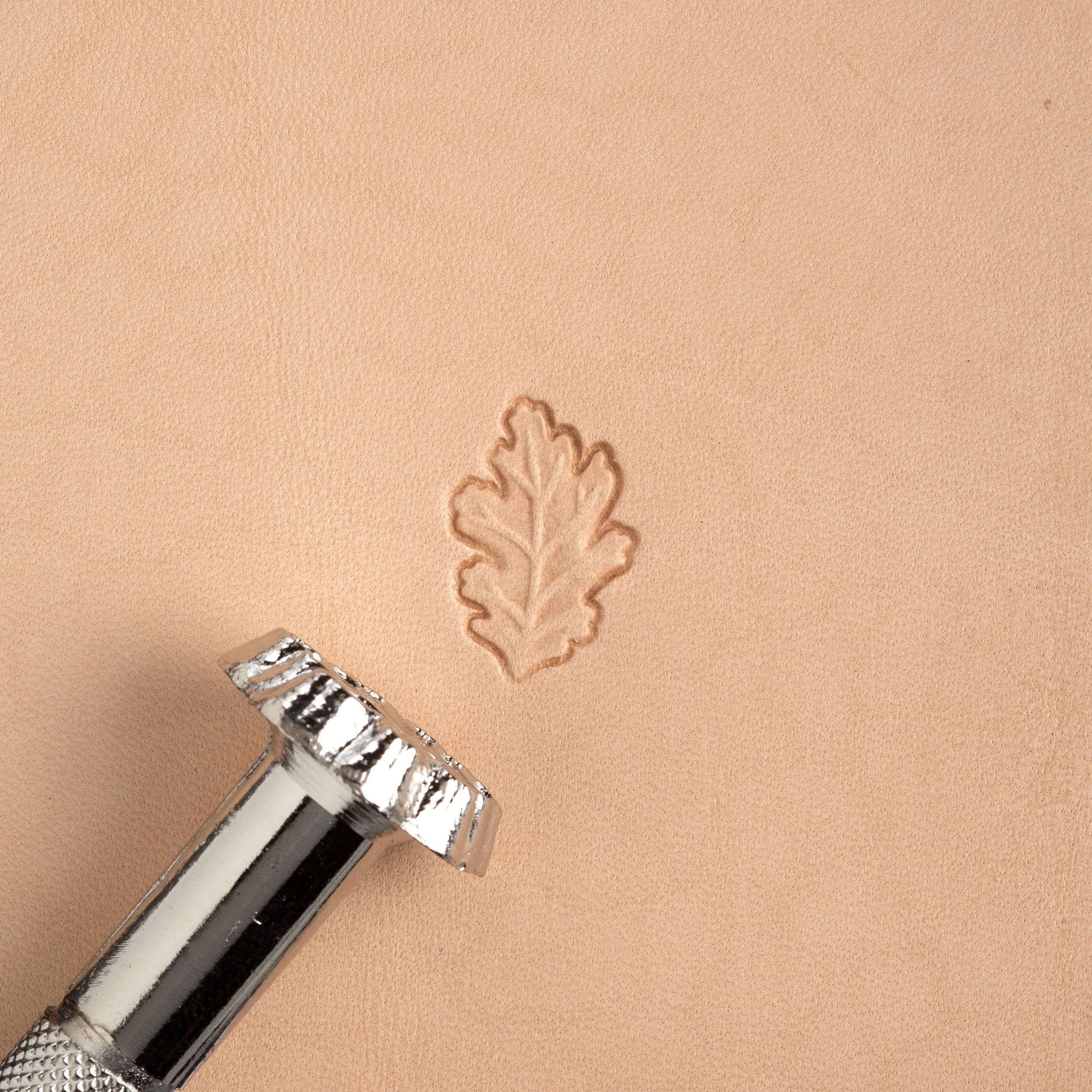 Craftool® Oak Leaf Stamp - Image 3