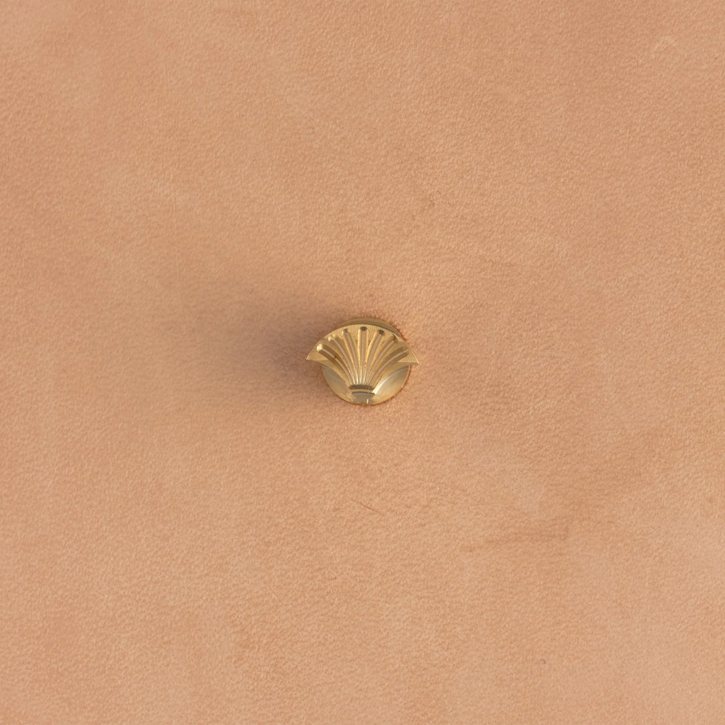 Lined Shell Brass Stamp - Image 3