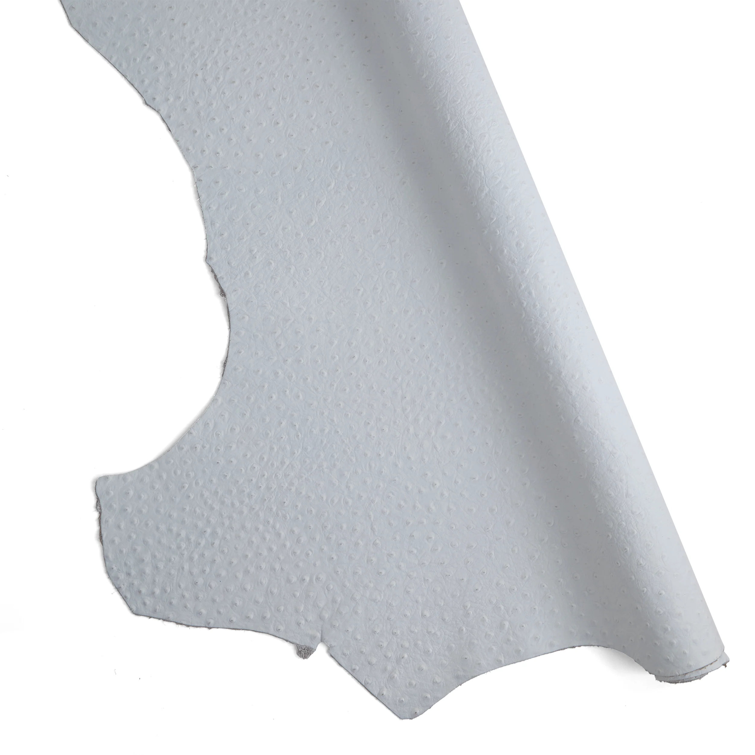Ostrich Embossed Single Shoulder - Image 11