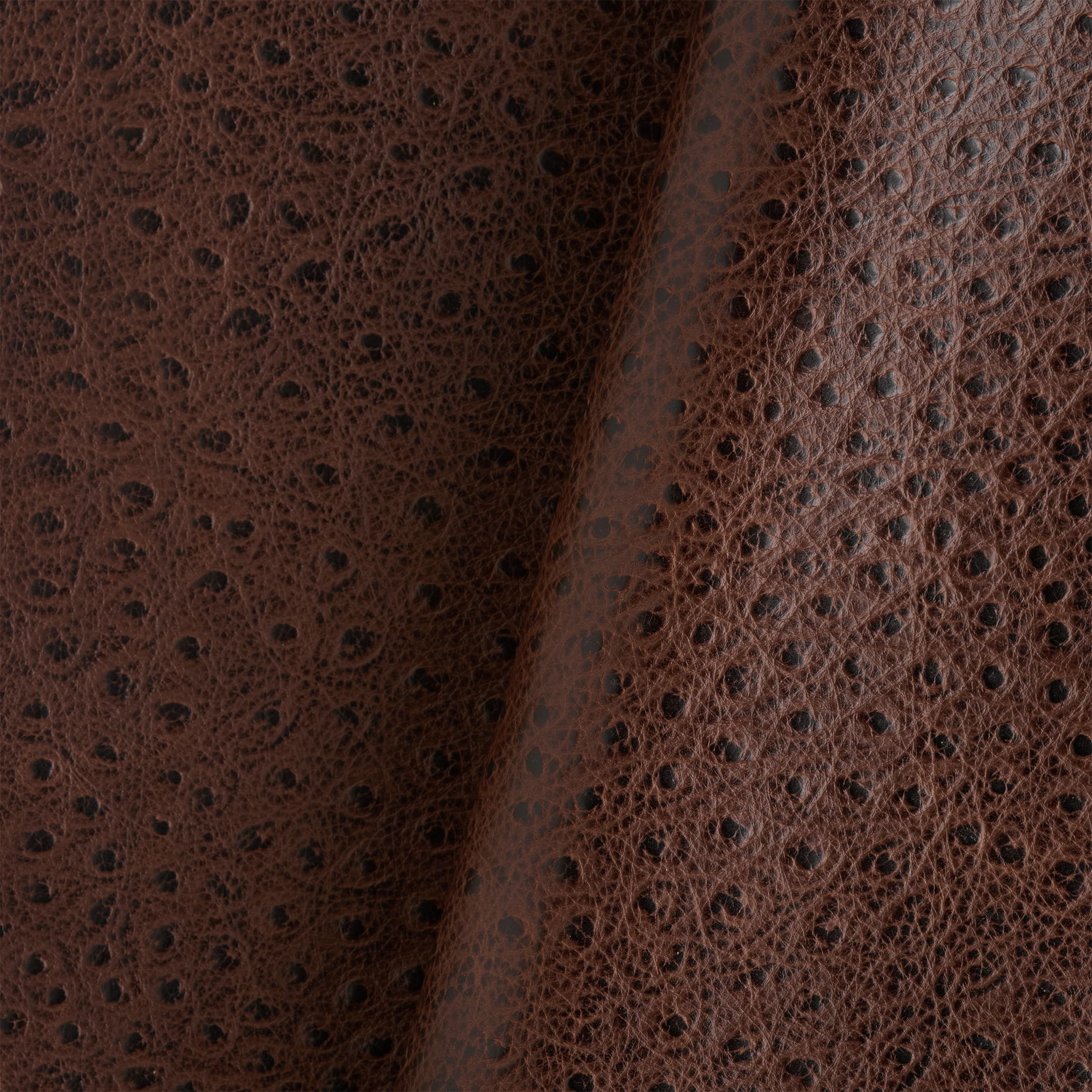Ostrich Embossed Single Shoulder - Image 16