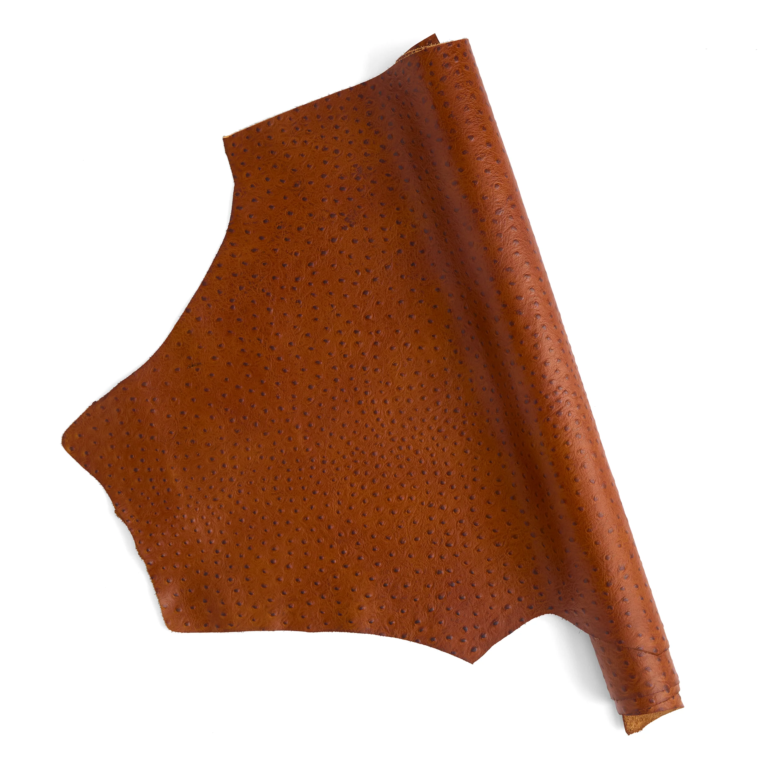 Ostrich Embossed Single Shoulder - Image 5