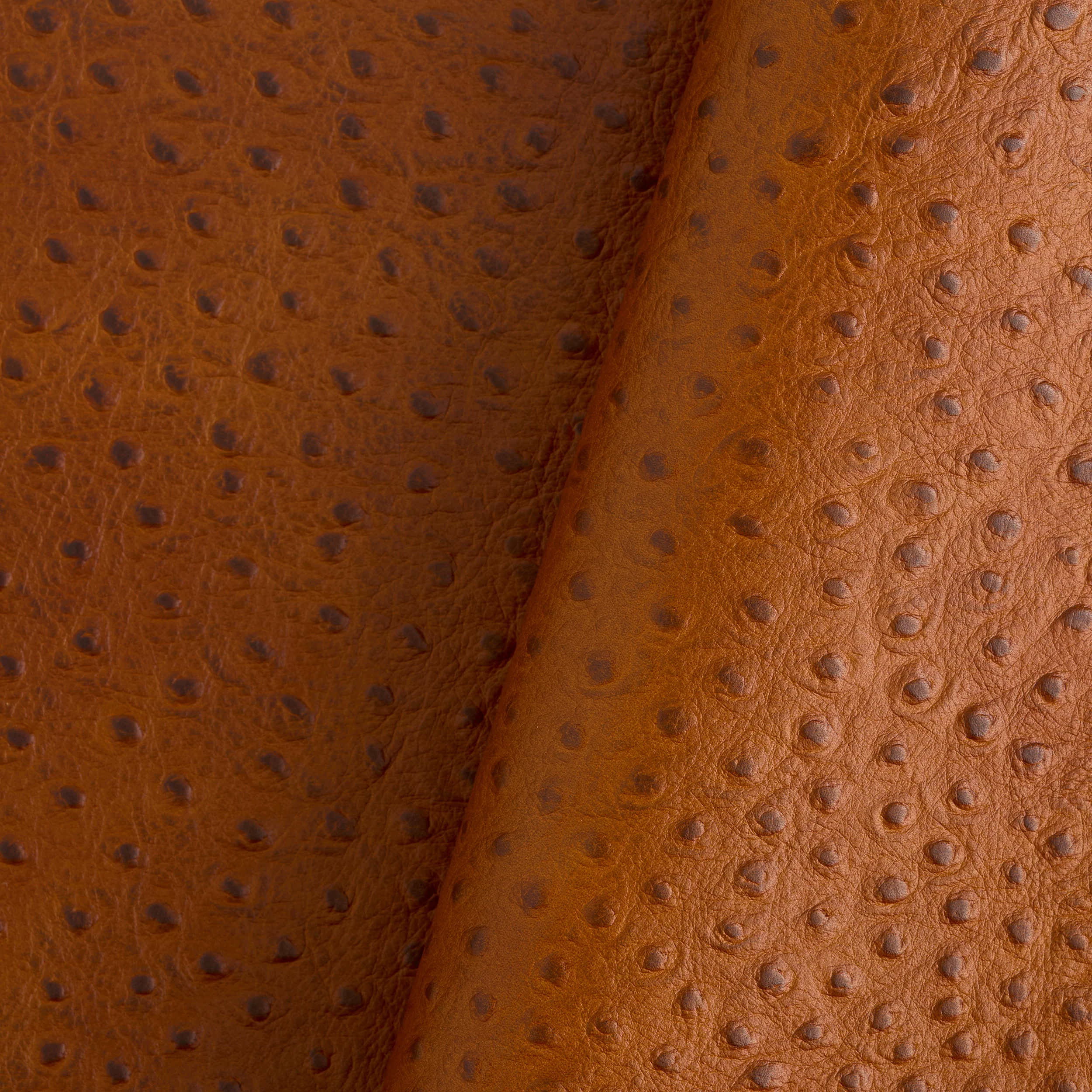Ostrich Embossed Single Shoulder - Image 6