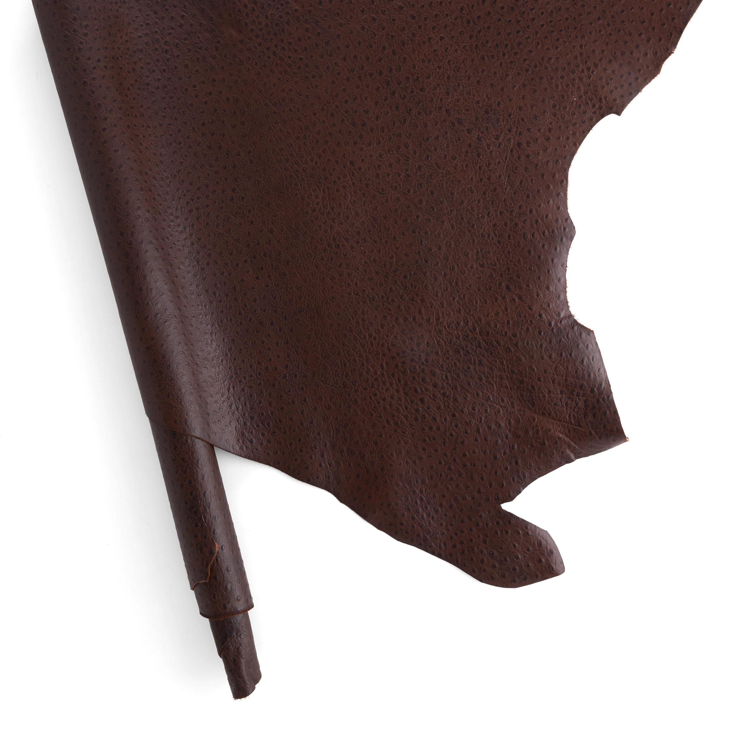 Ostrich Print Side - Image 6