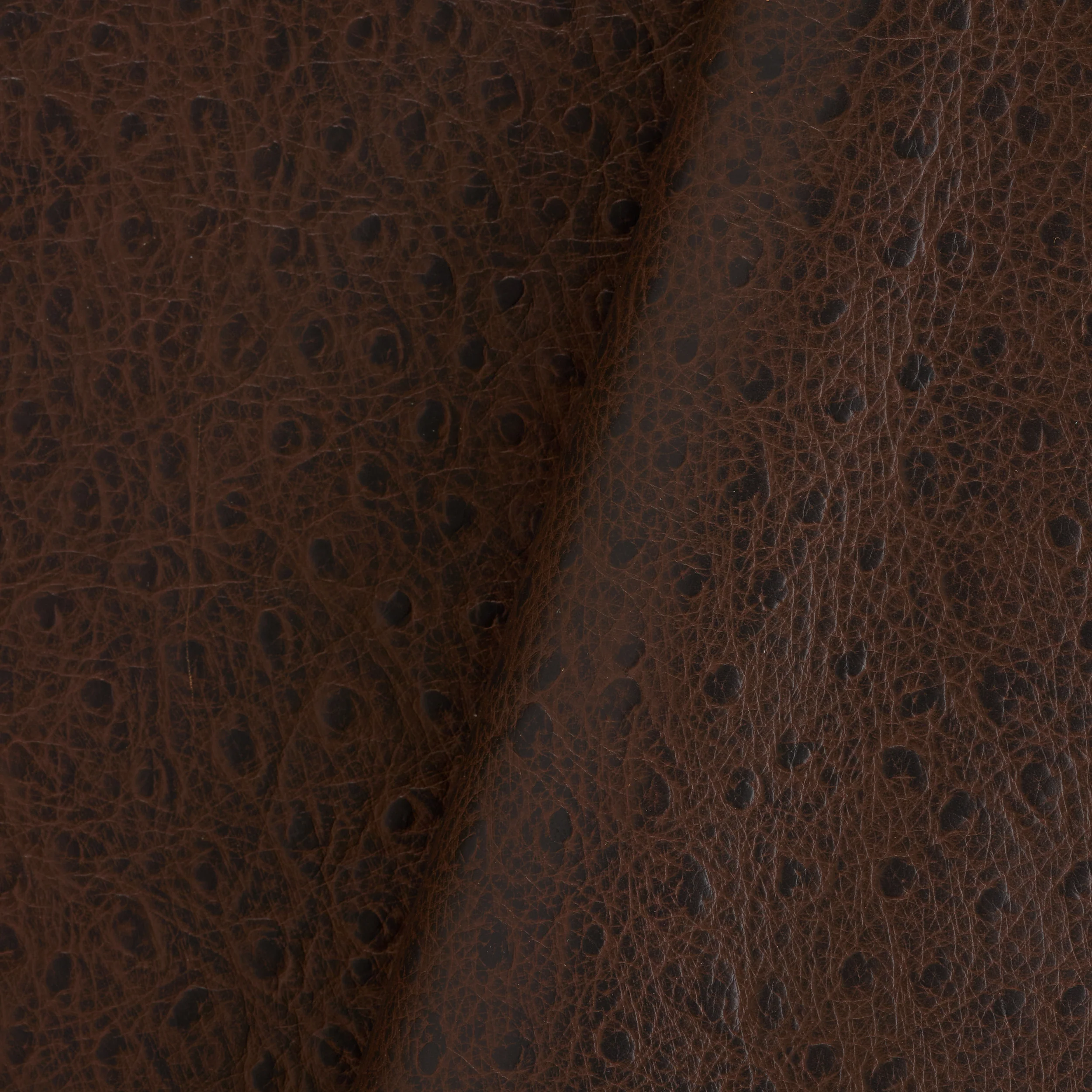 Ostrich Print Side - Image 7