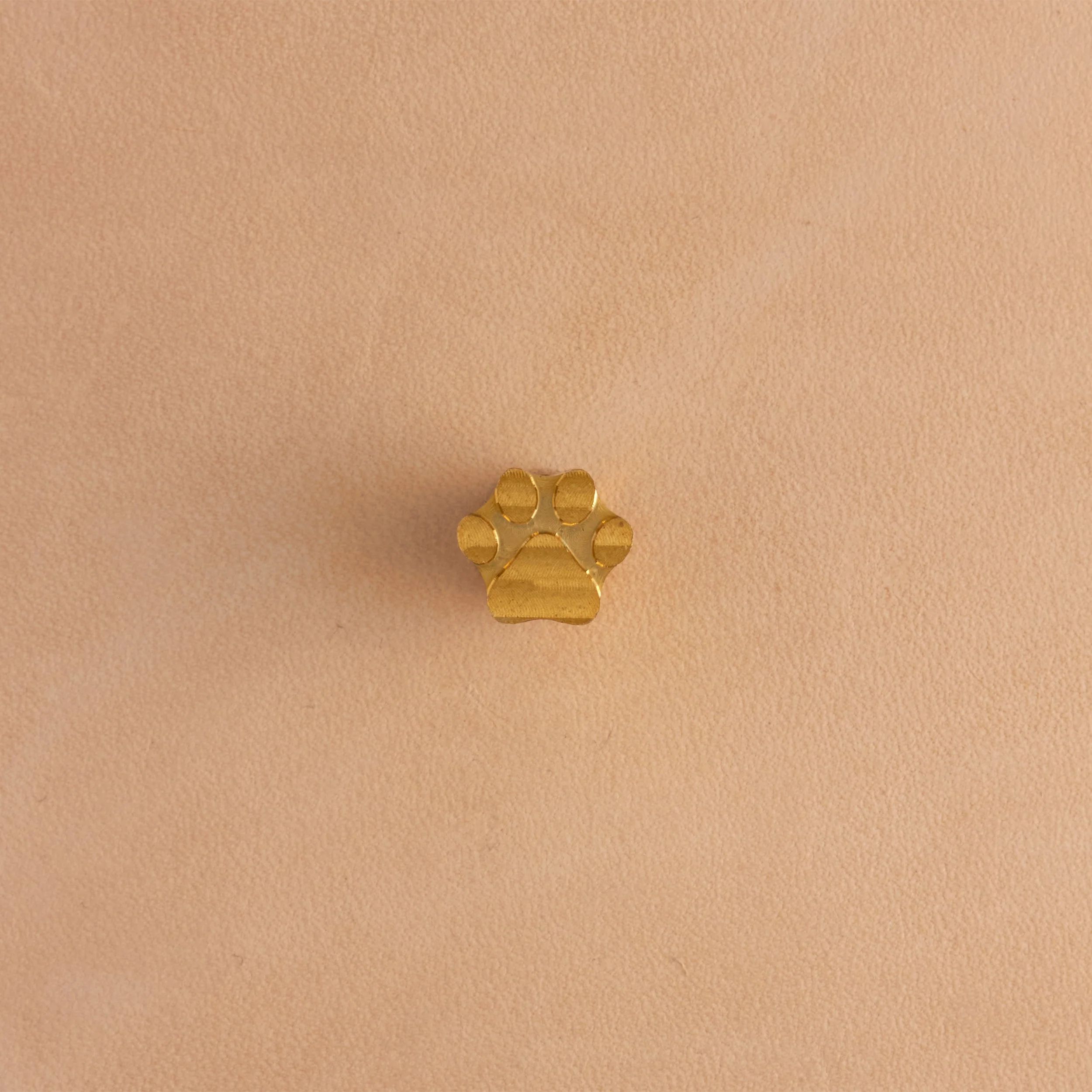 Paw Brass Stamp - Image 2