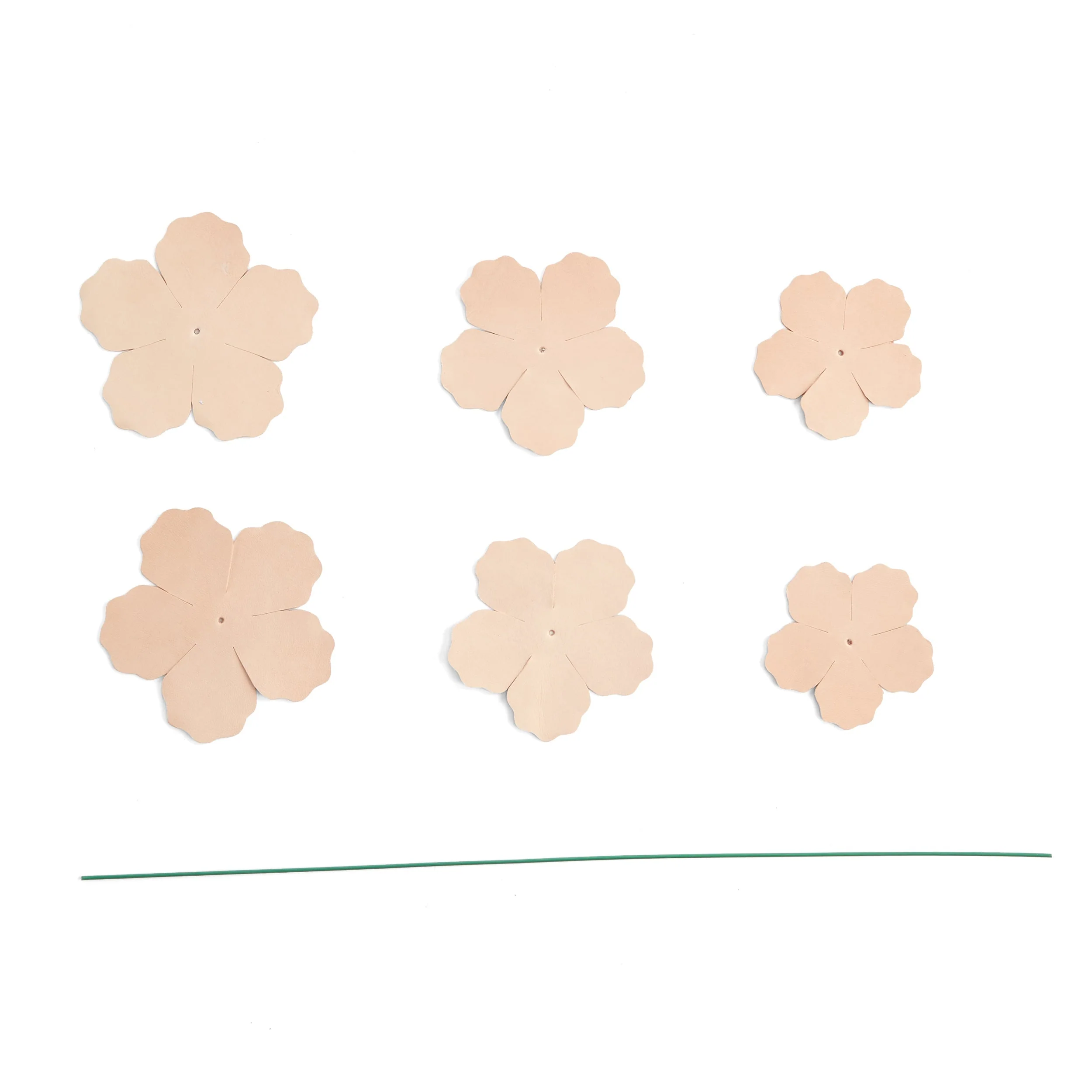 Peony Kit 3 Pack - Image 2