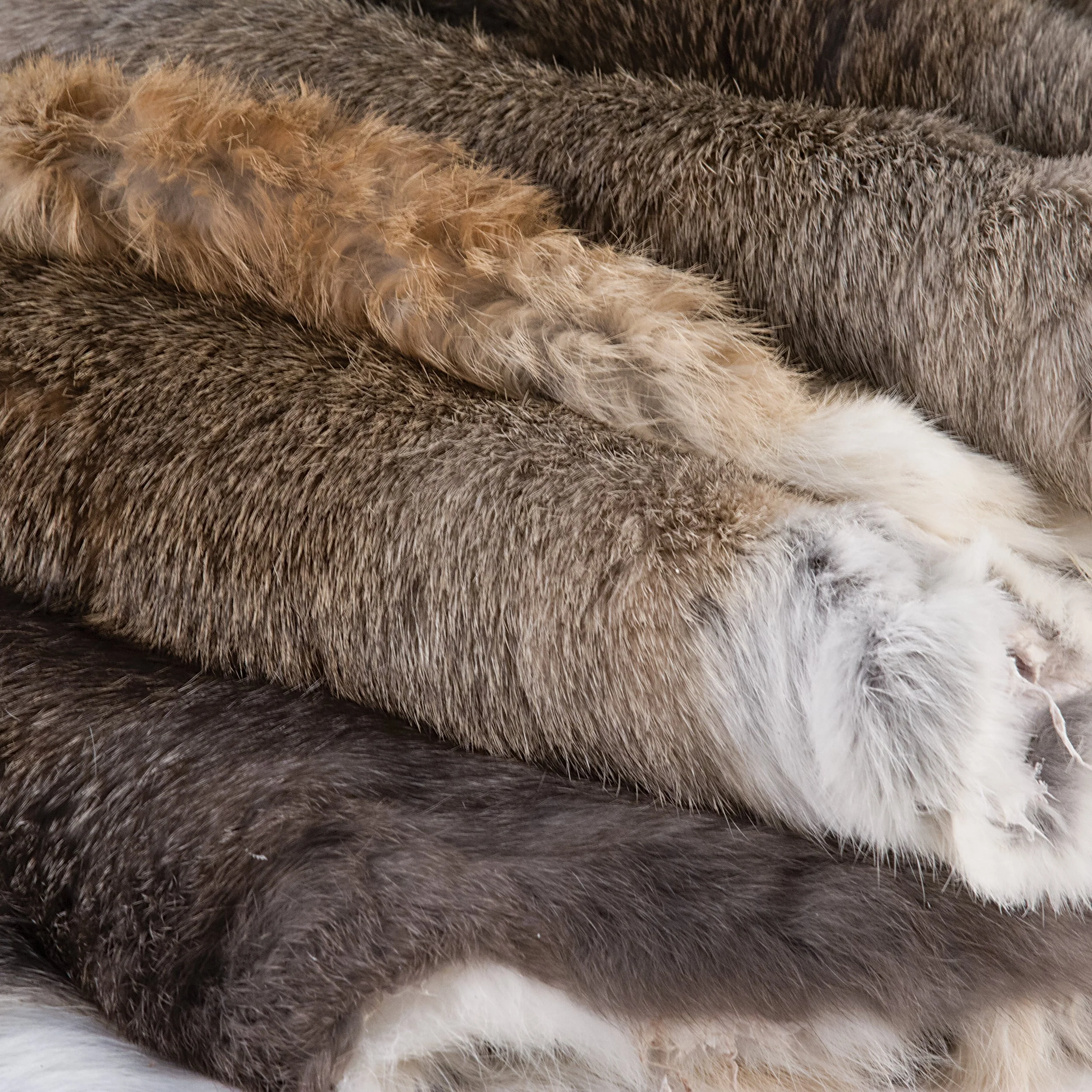 Rabbit Skin - Image 2
