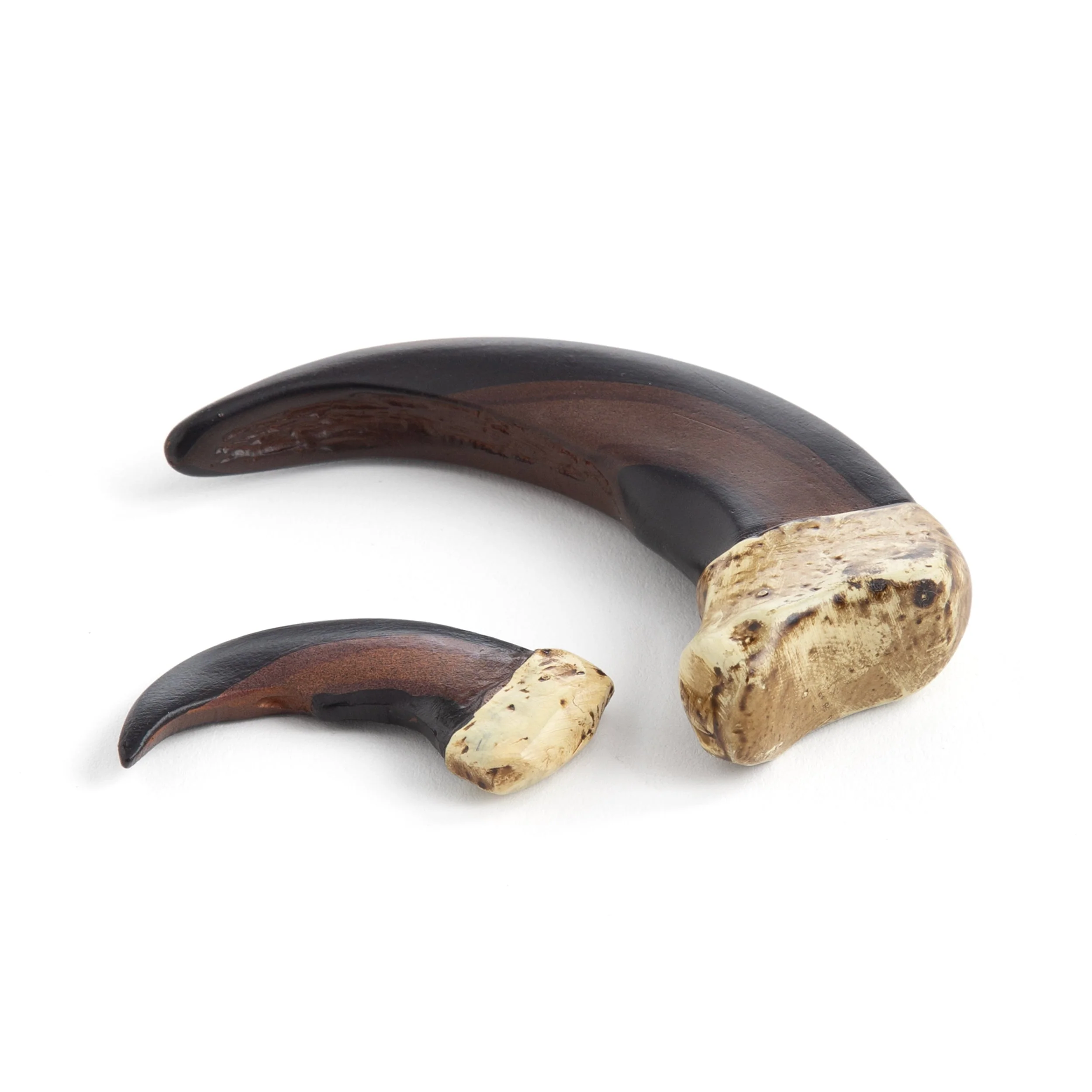 Resin Bear Claws - Image 2