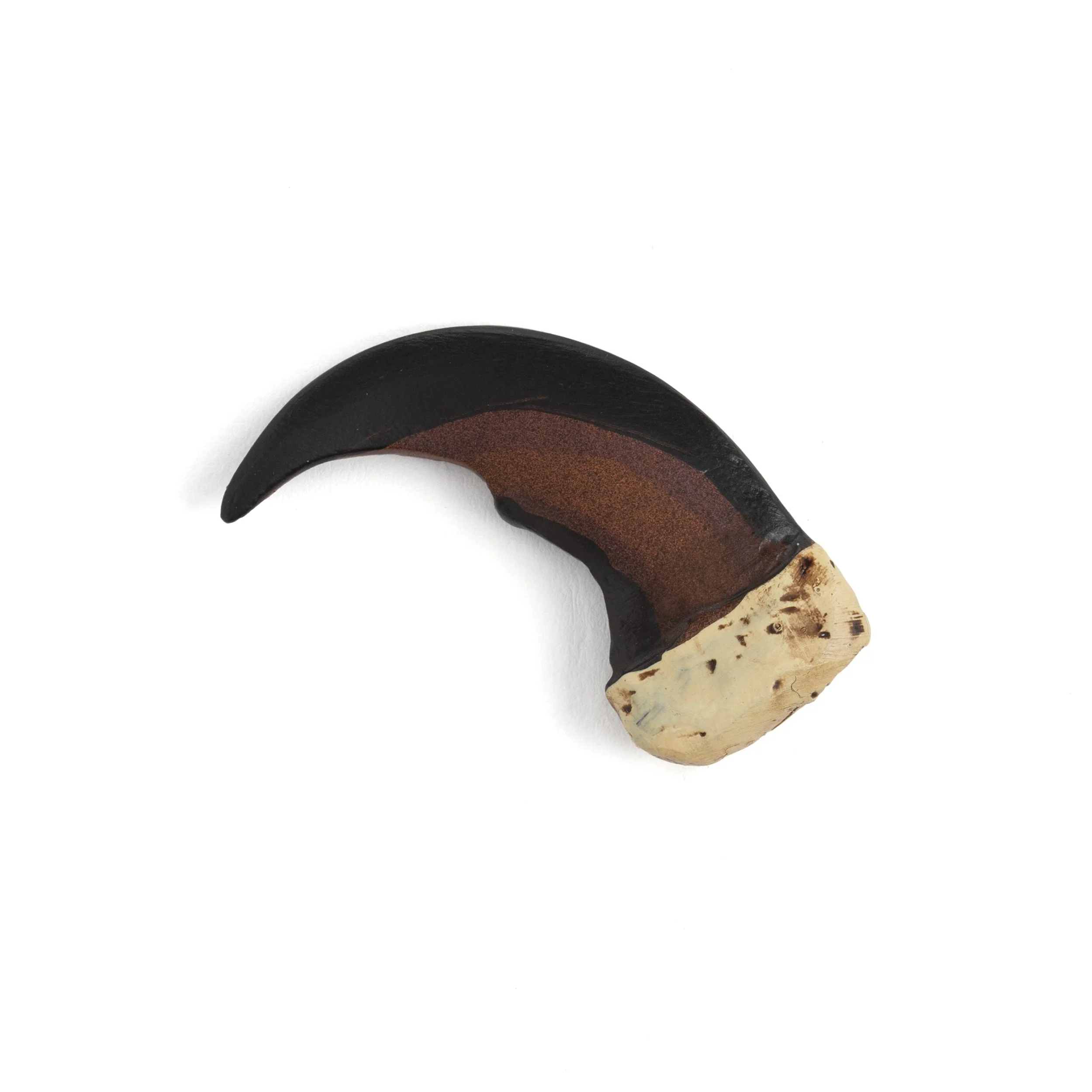 Resin Bear Claws - Image 3
