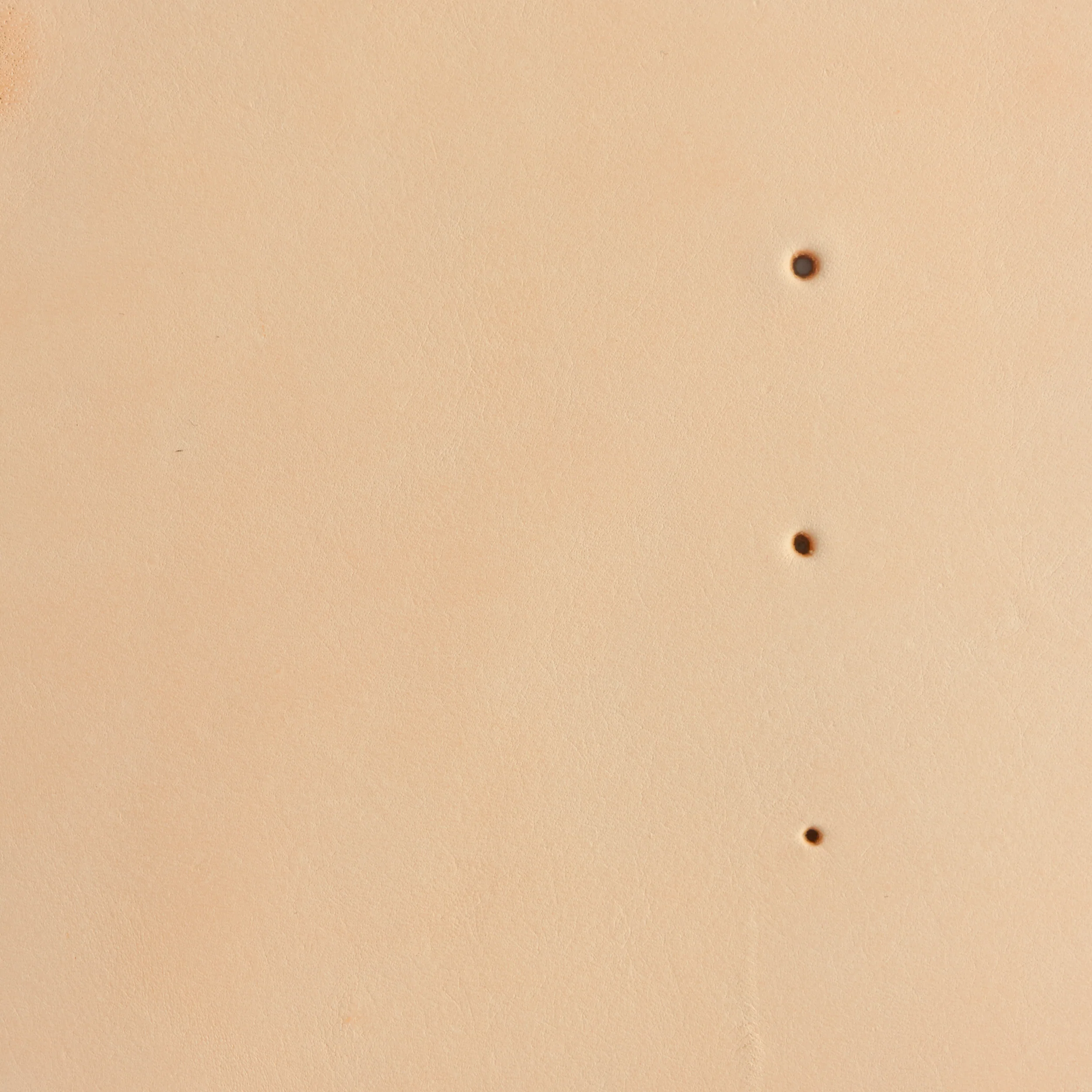 Craftool® Round Detail Punches - Image 3