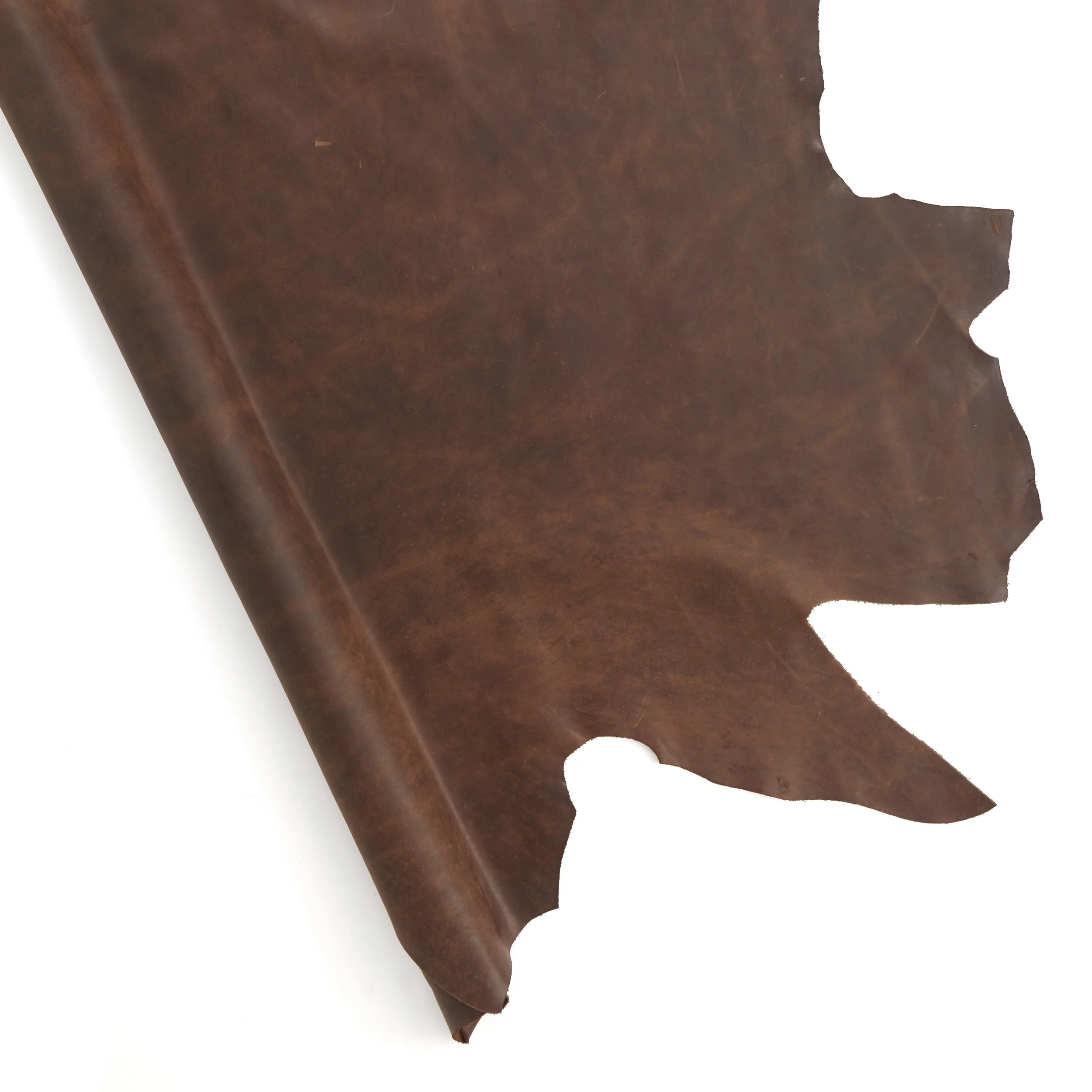 Salem Side - Image 6