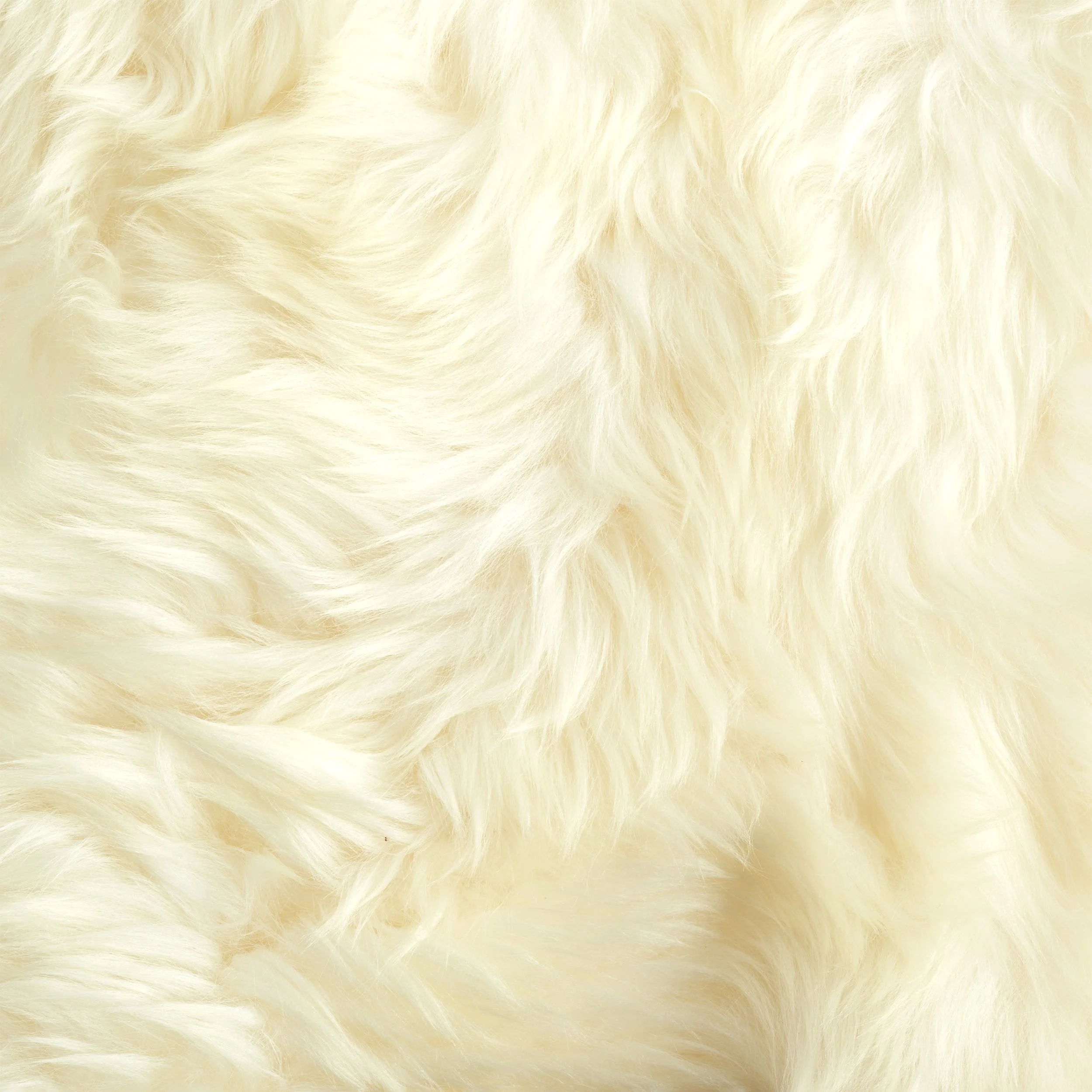 Sheepskin Rug - Image 2