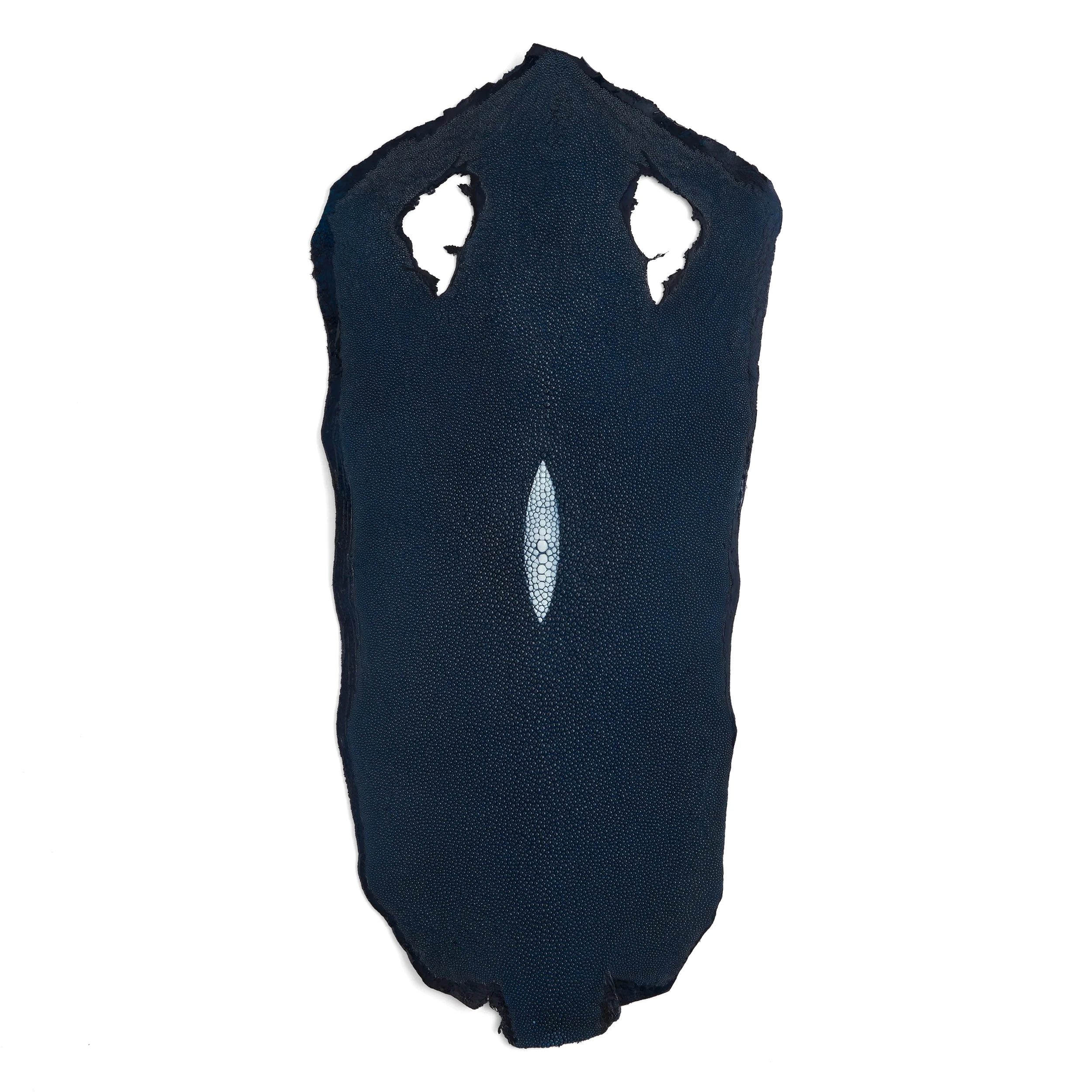 Stingray Small Skin - Image 10