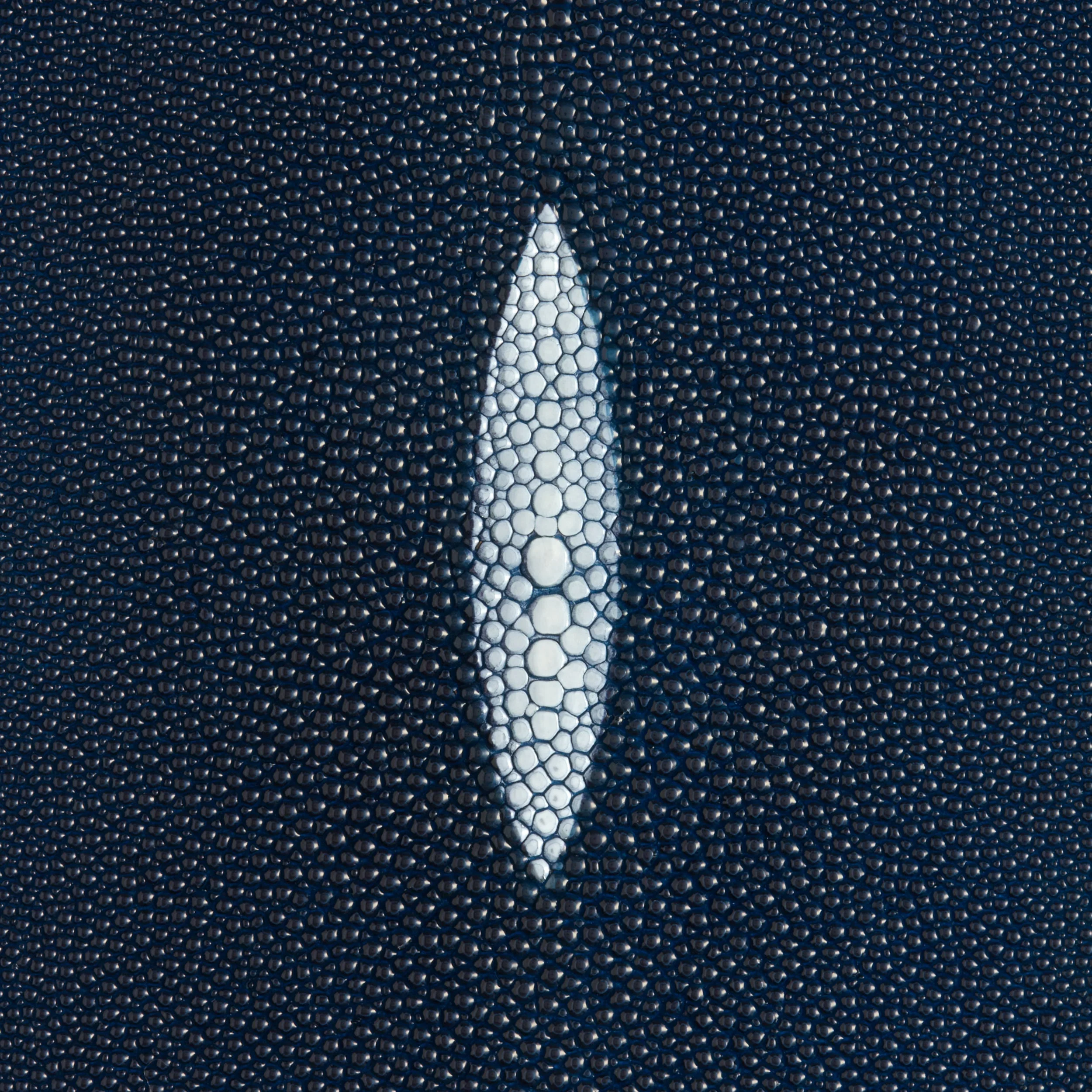 Stingray Small Skin - Image 11