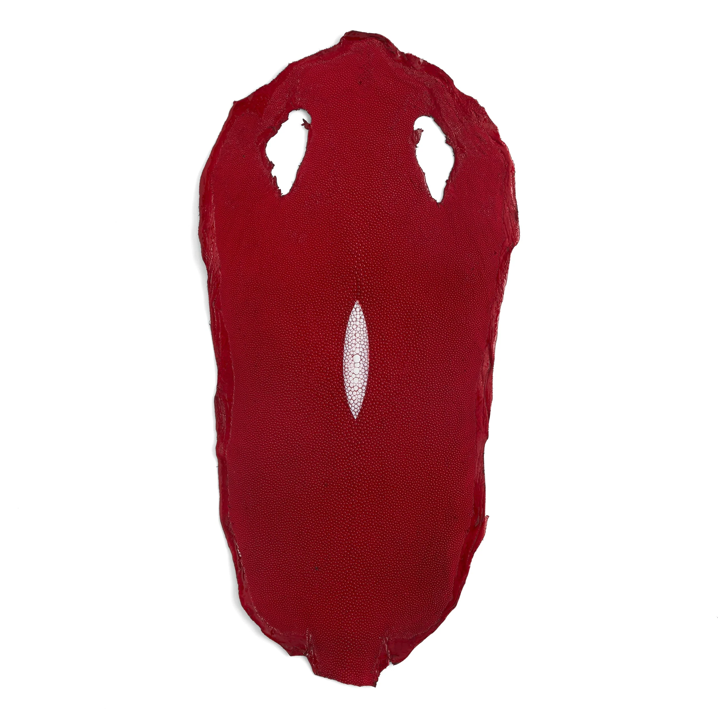 Stingray Small Skin - Image 12