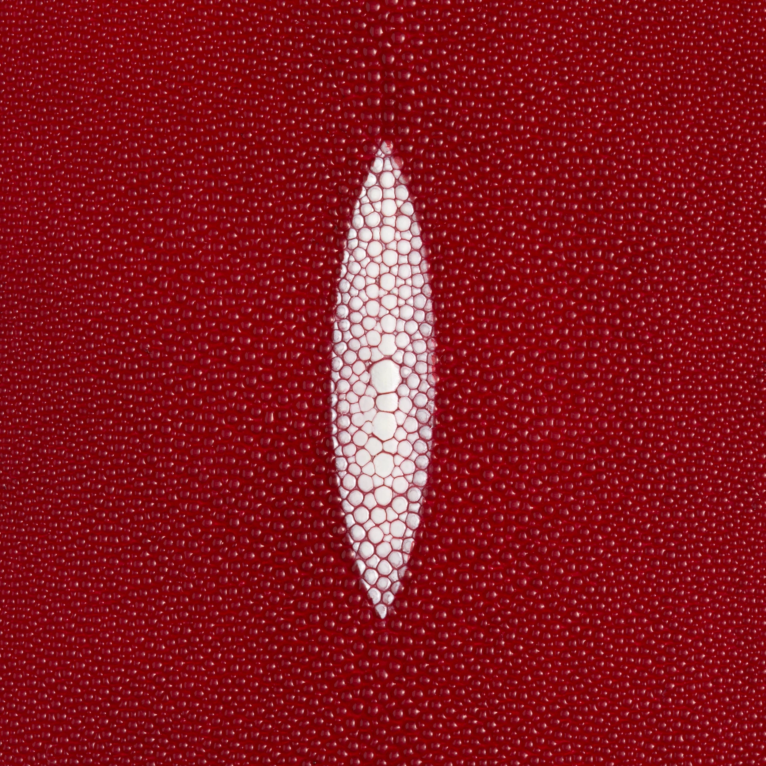 Stingray Small Skin - Image 13