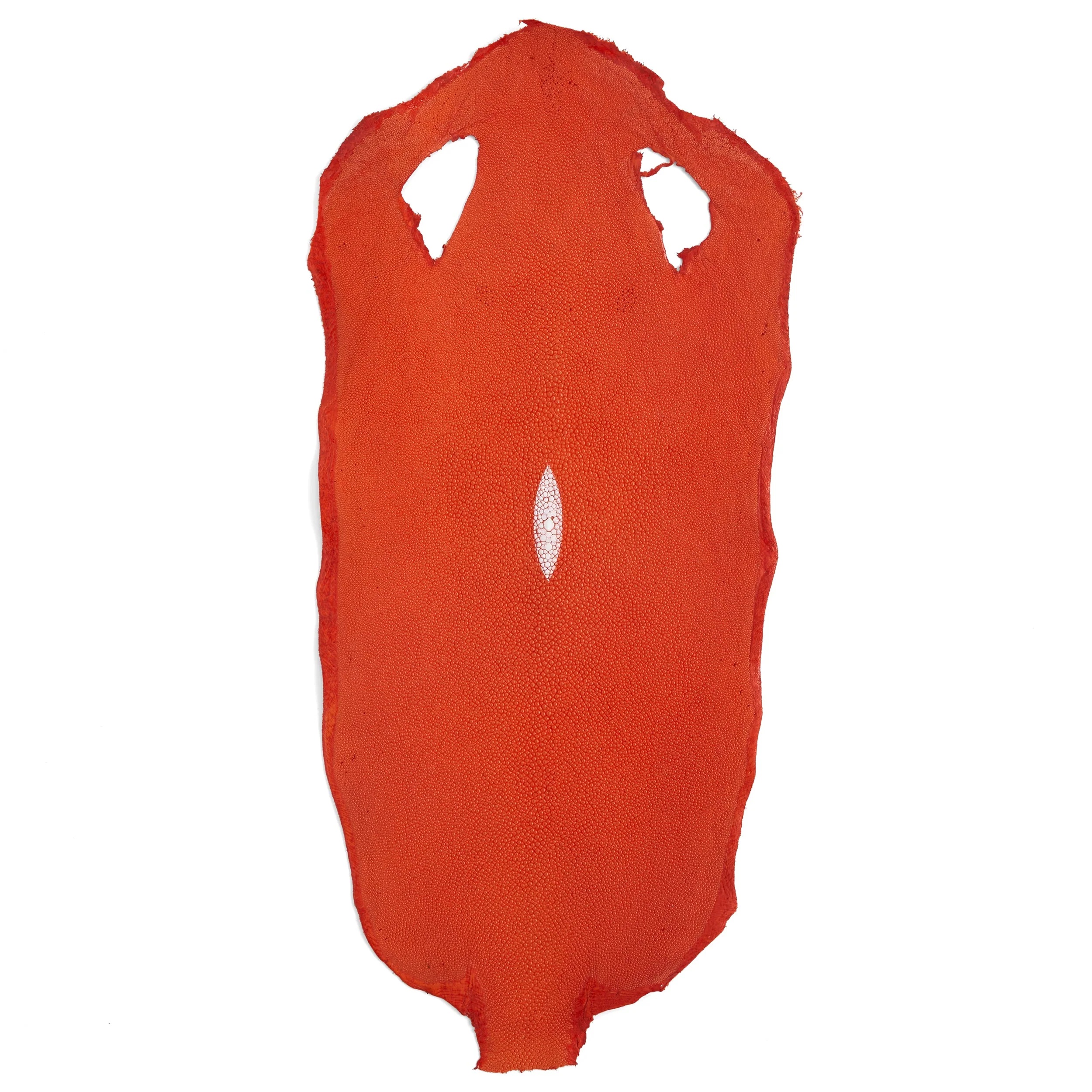 Stingray Small Skin - Image 14